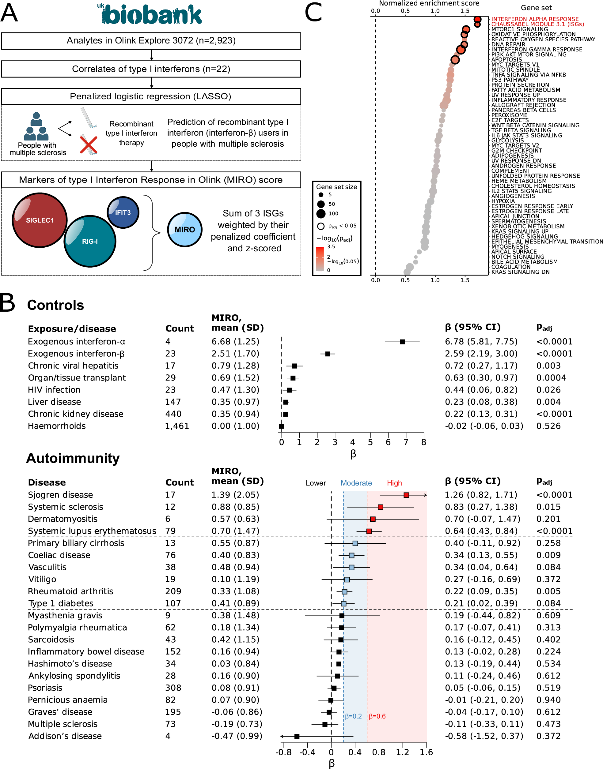 Fig. 3: An oligoprotein type I interferon signature derived from Olink proteomics and identification of interferonopathic autoimmune diseases in UK Biobank.