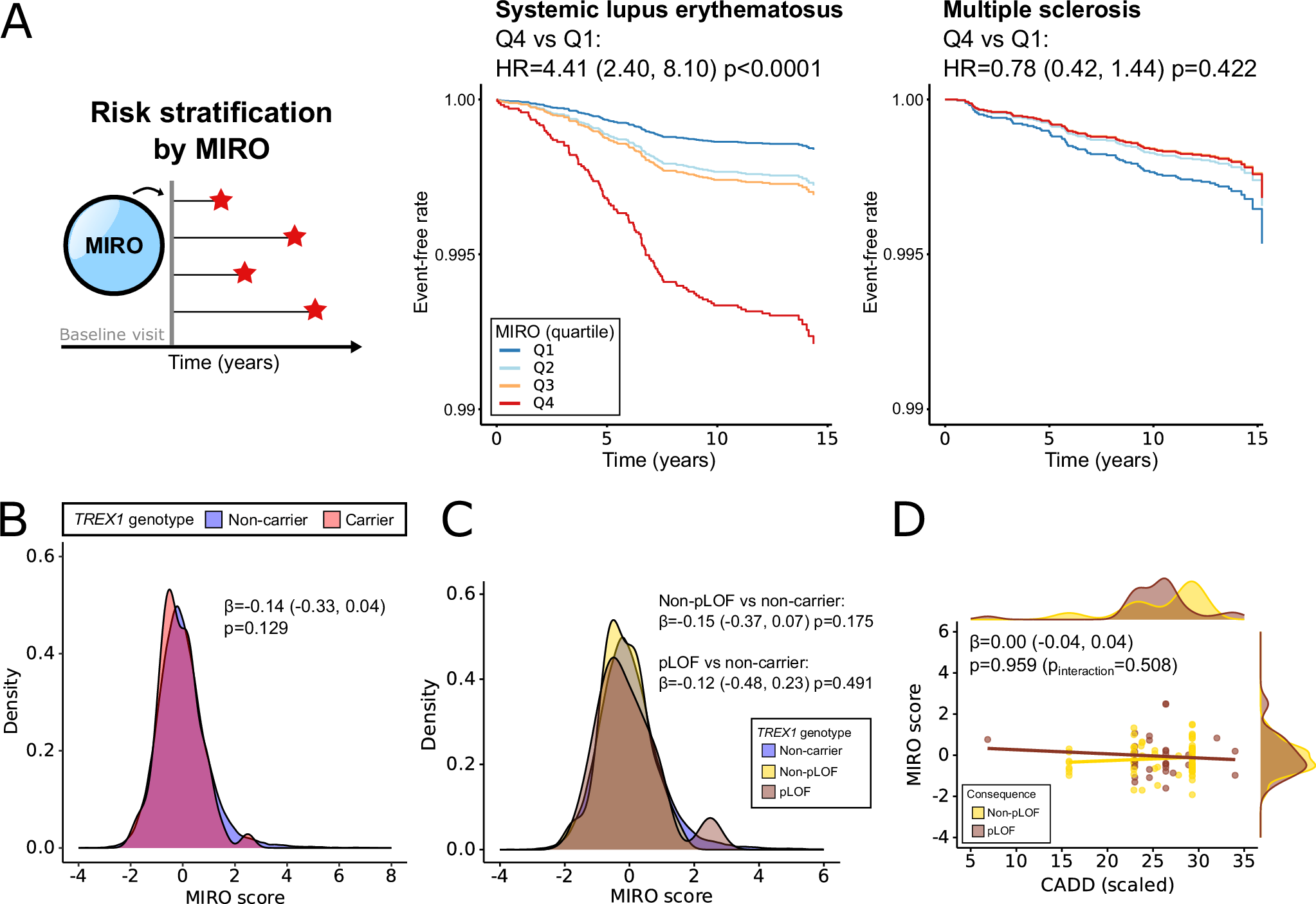 Fig. 5: Oligoprotein interferon signatures are associated with high risk of SLE in UKB-PPP, but are not elevated in TREX1 mutation carriers.