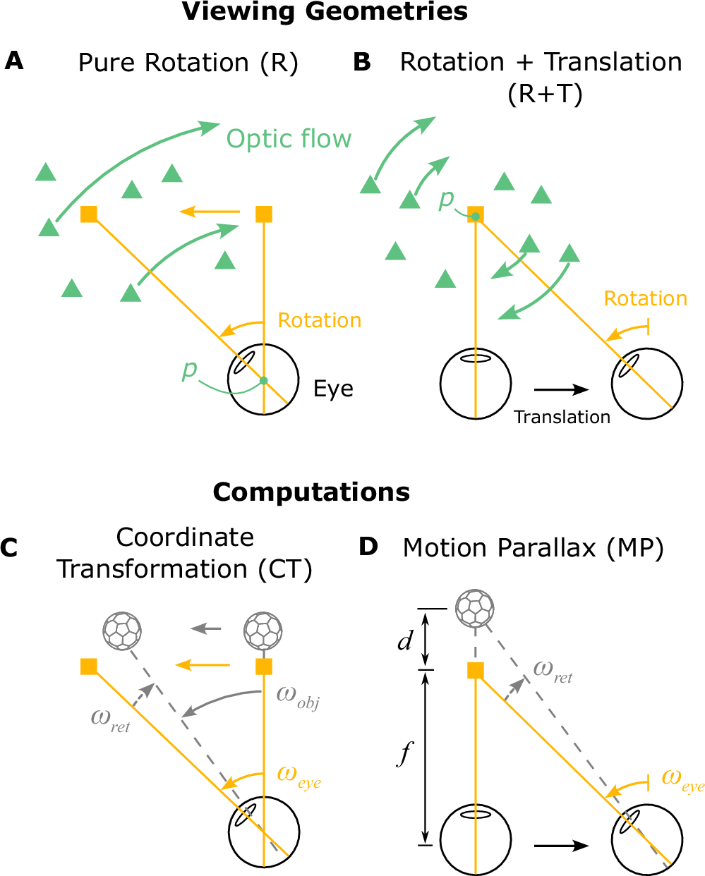 Fig. 2: Schematic illustration of two viewing geometries and corresponding computations that can be performed.