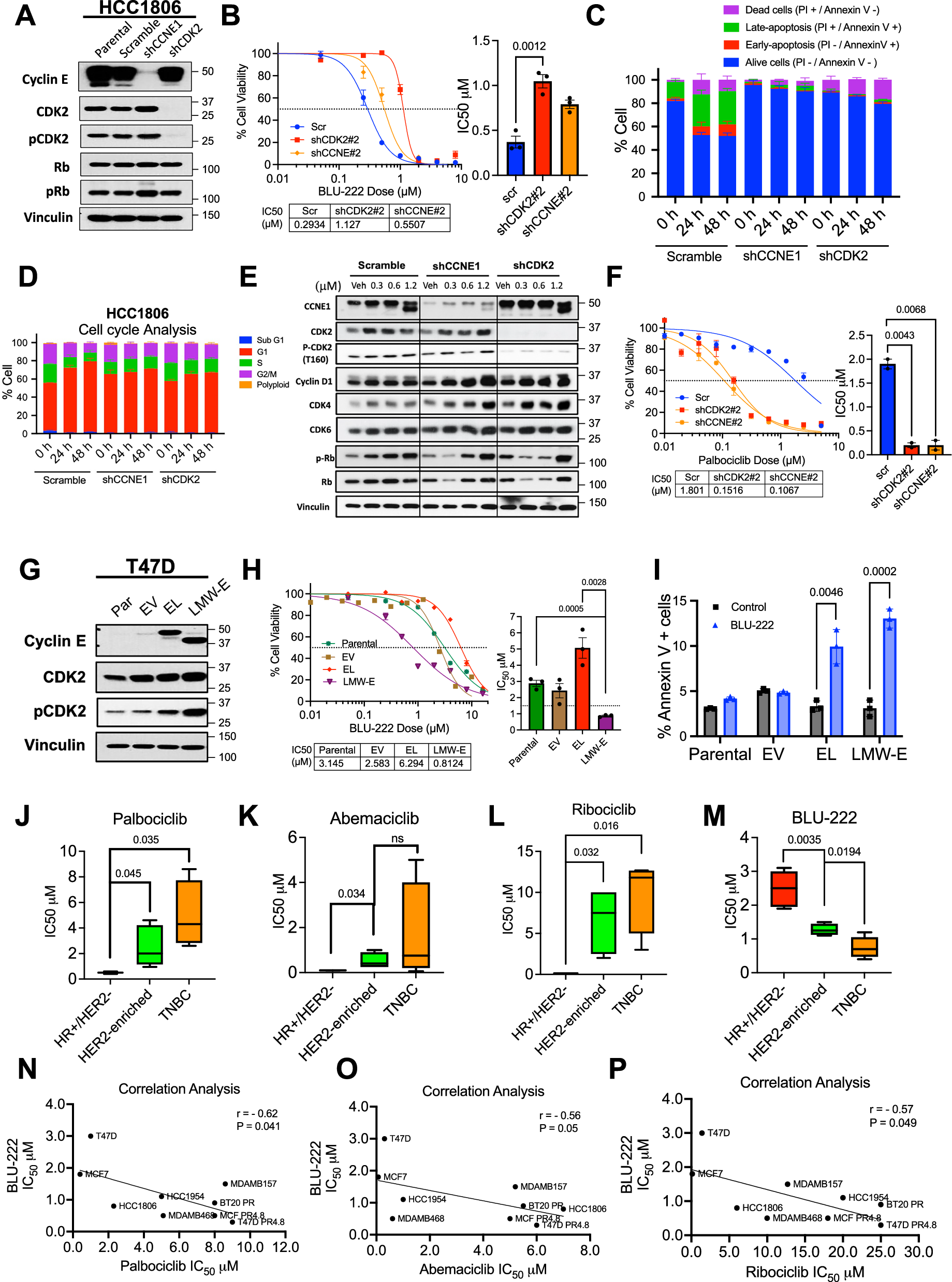 Fig. 1: Cyclin E Overexpression Sensitizes CDK4/6 Inhibitor–Resistant Cells to BLU-222, a Selective and Potent CDK2 Inhibitor.