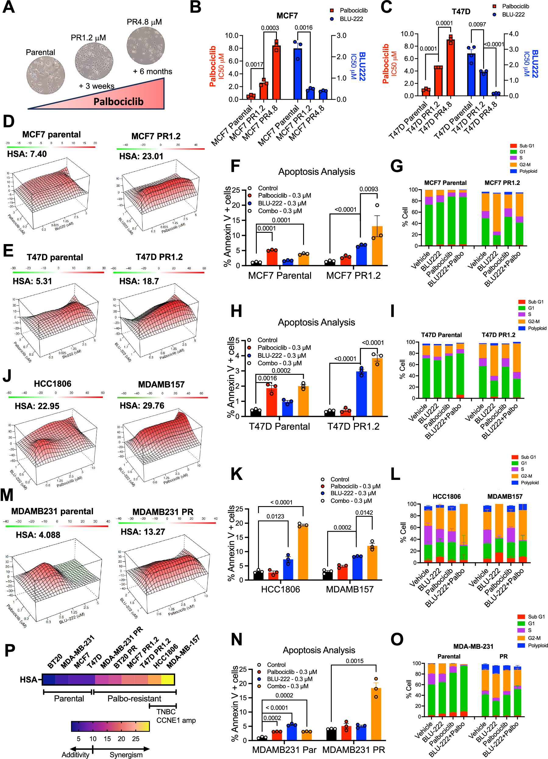 Fig. 2: Palbociclib Resistance Sensitizes Cells to BLU-222.