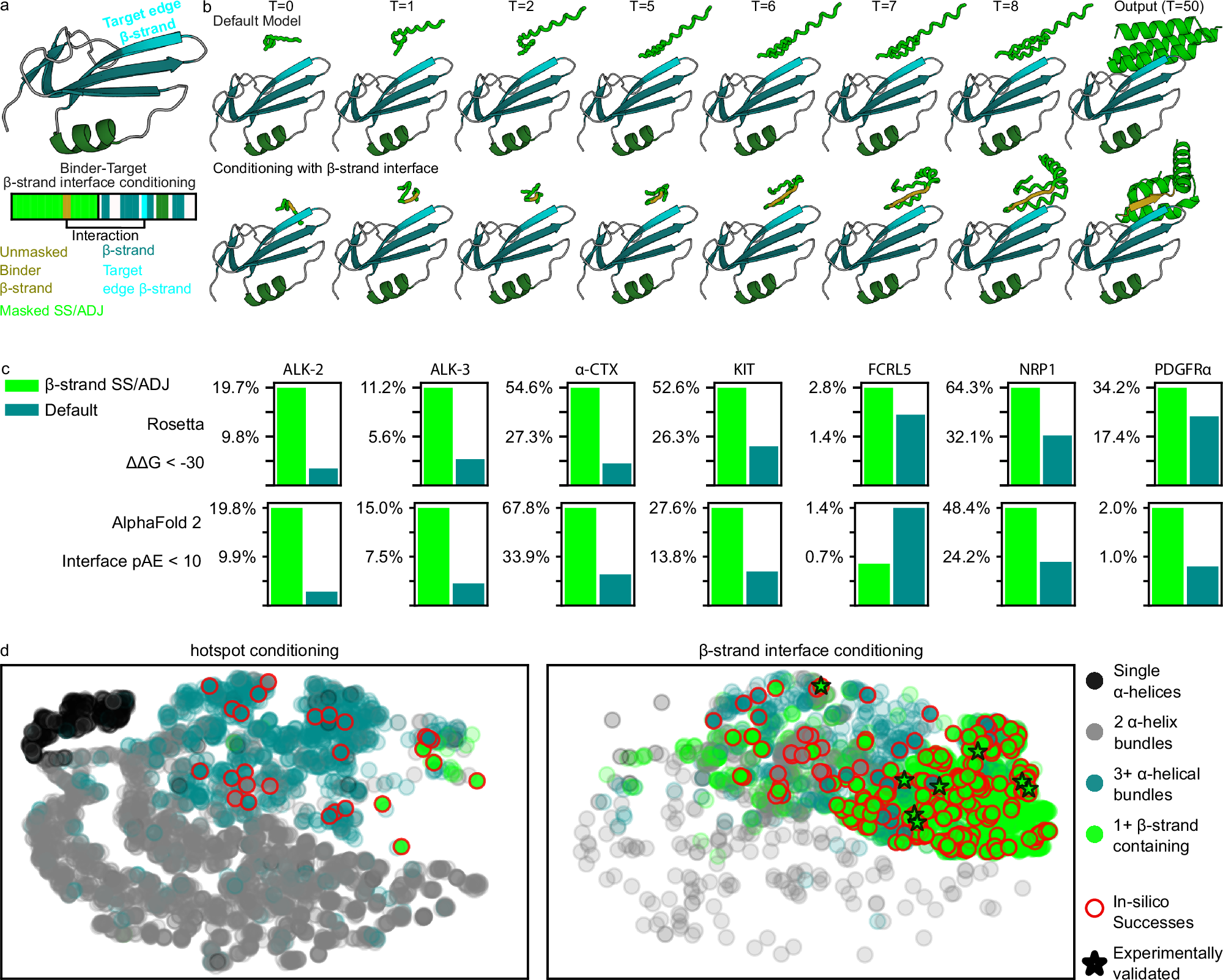 Fig. 1: Design of β-strand pairing binders.