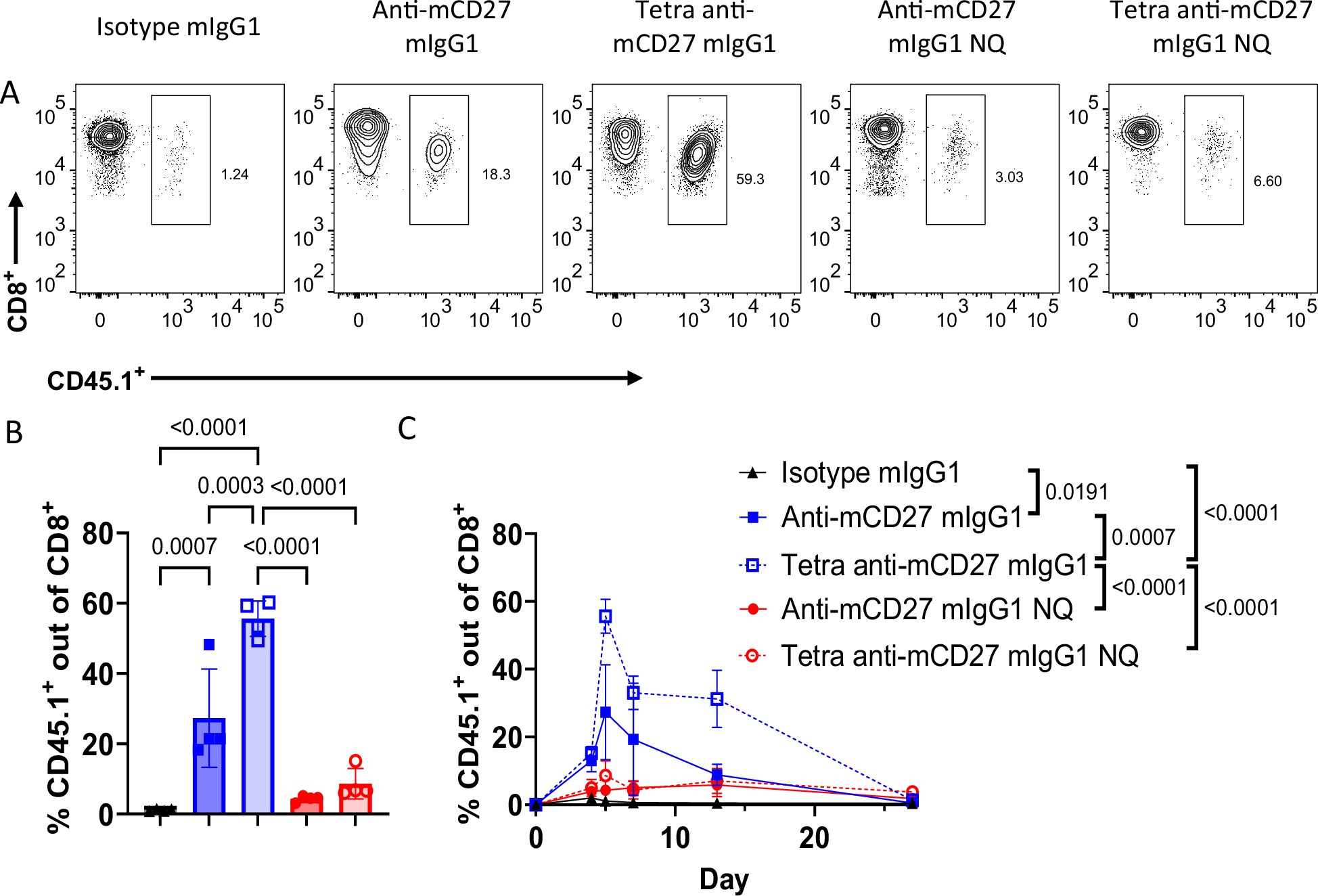 Fig. 3: Optimal priming of antigen-specific CD8+ T cells by anti-mCD27 requires tetravalency and FcγR engagement.