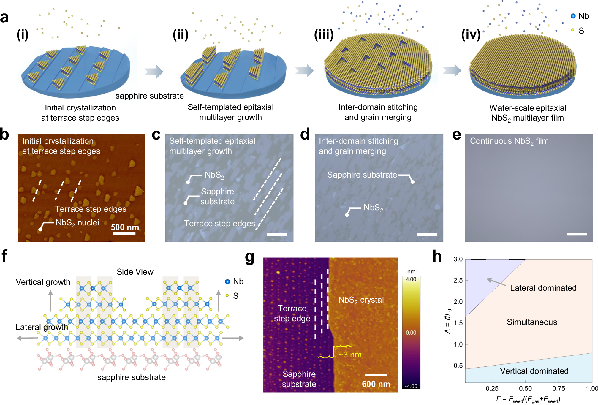 Fig. 1: Epitaxial growth of wafer-scale NbS2 films via metal-organic chemical vapor deposition (MOCVD).