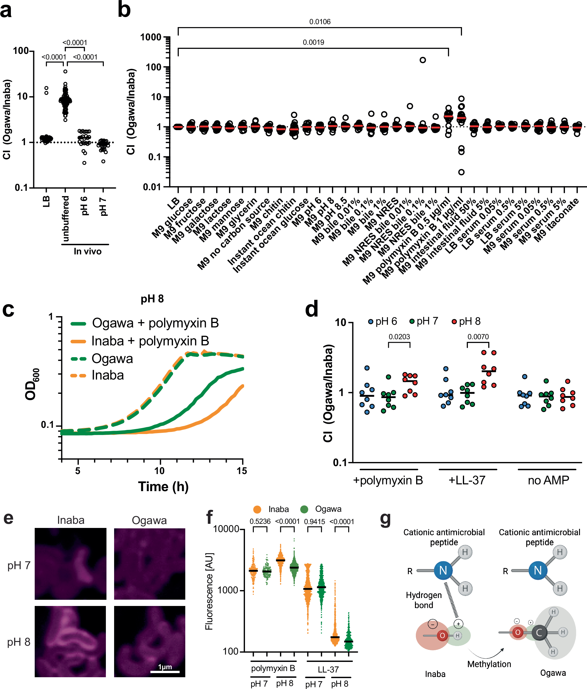 Fig. 2: Multiplex screening of the growth of barcoded isogenic Ogawa and Inaba strains in vivo and in a variety of growth conditions in culture.