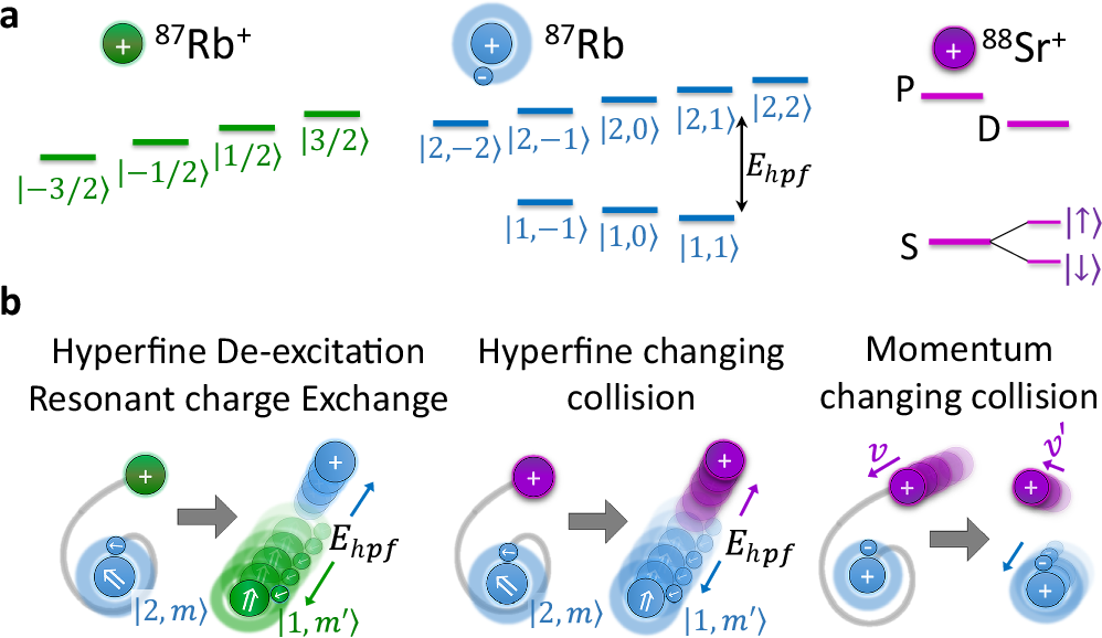 Fig. 7: Atom-ion cold collision processes and spin structure.