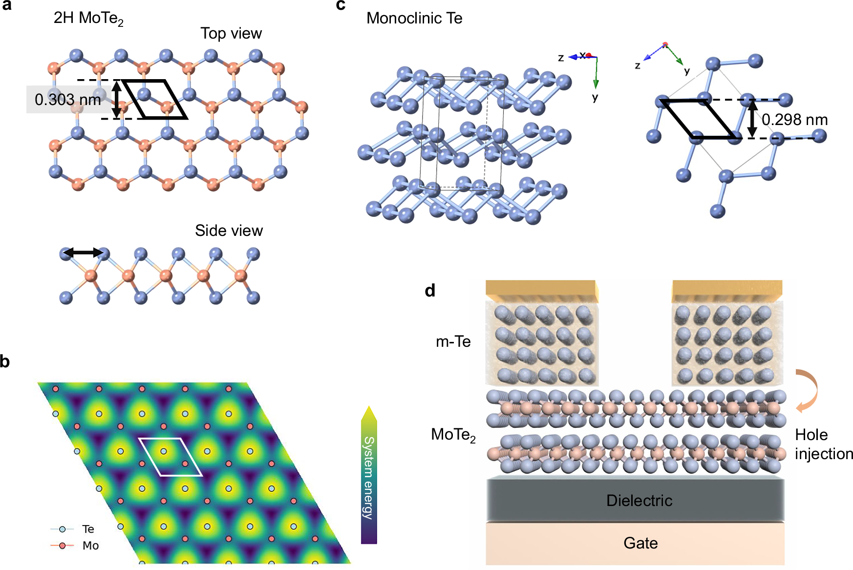Fig. 1: Schematic illustration of m-Te induced by 2H MoTe2 as a p-type electrical contact.