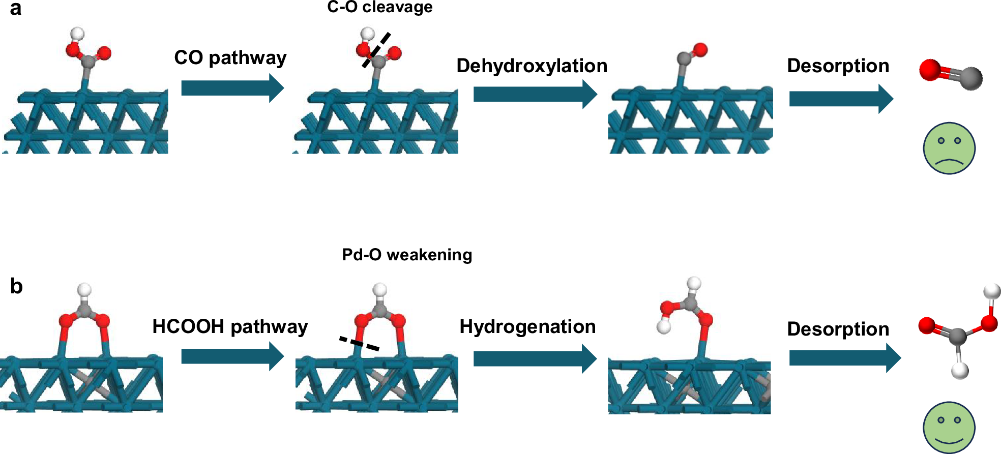 Fig. 1: Schematic illustration of the different mechanisms.