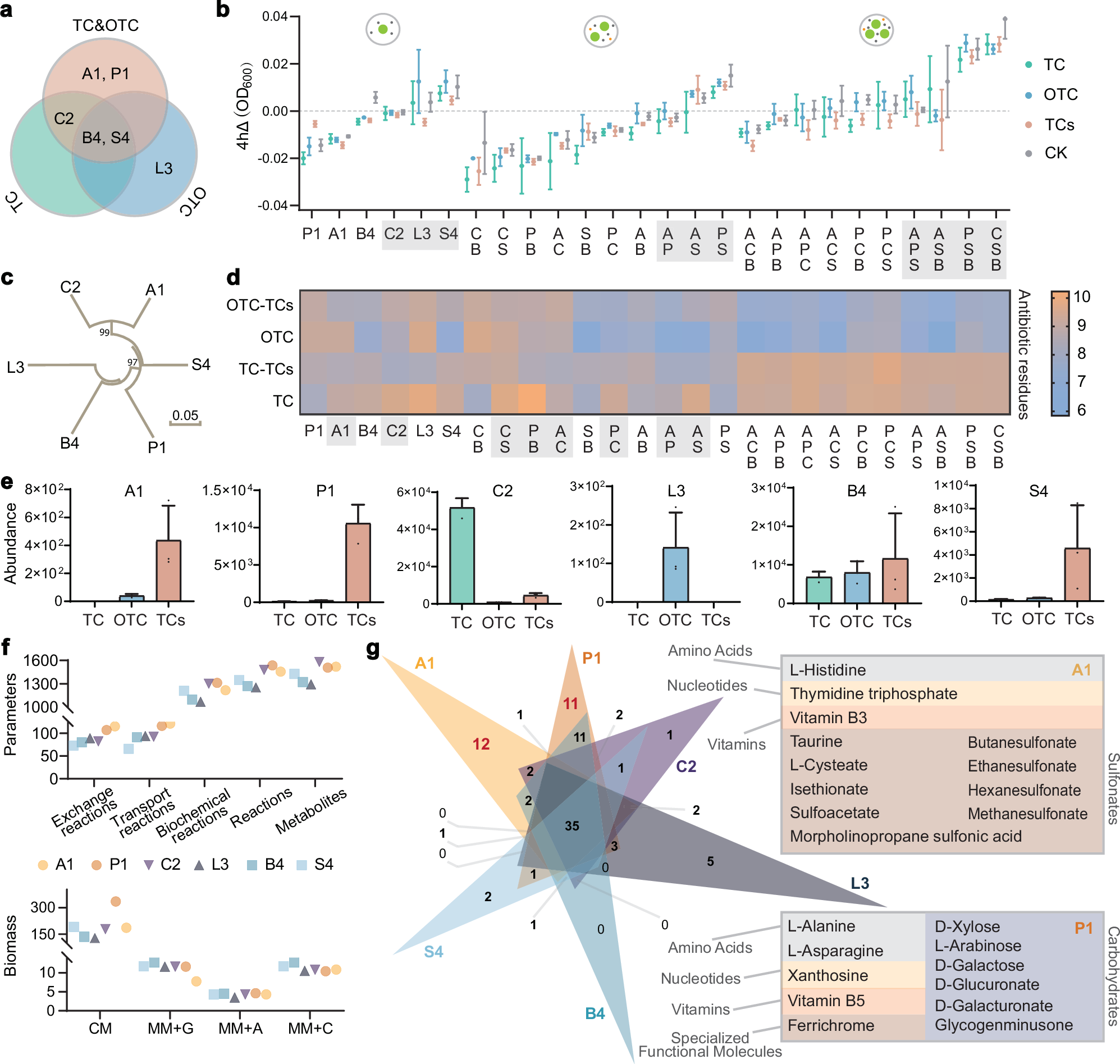 Fig. 3: Isolation and metabolic characterization of keystone species using GSMMs.
