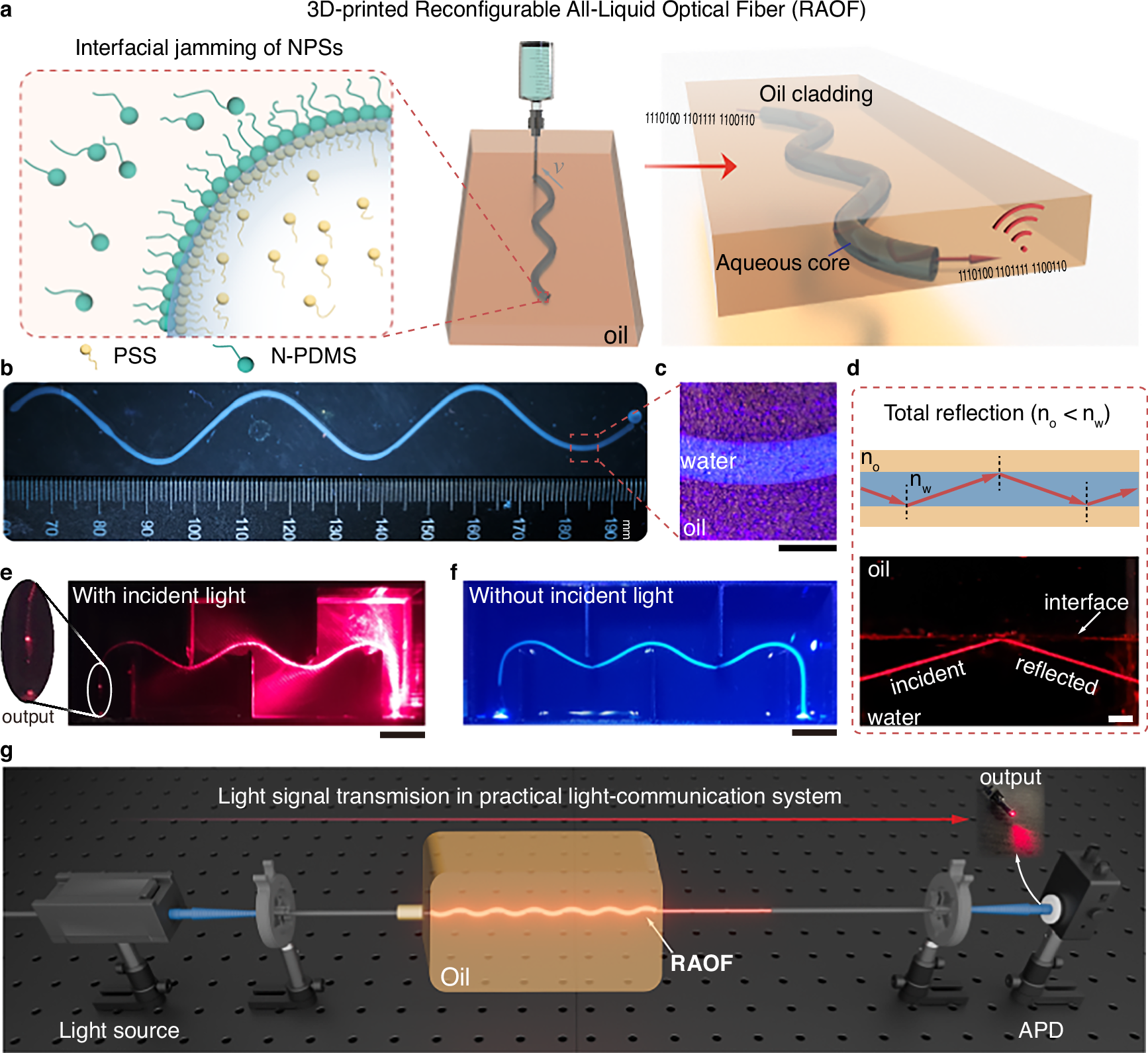 Fig. 1: Proof of concept for reconfigurable all-liquid optical fibers (RAOF).