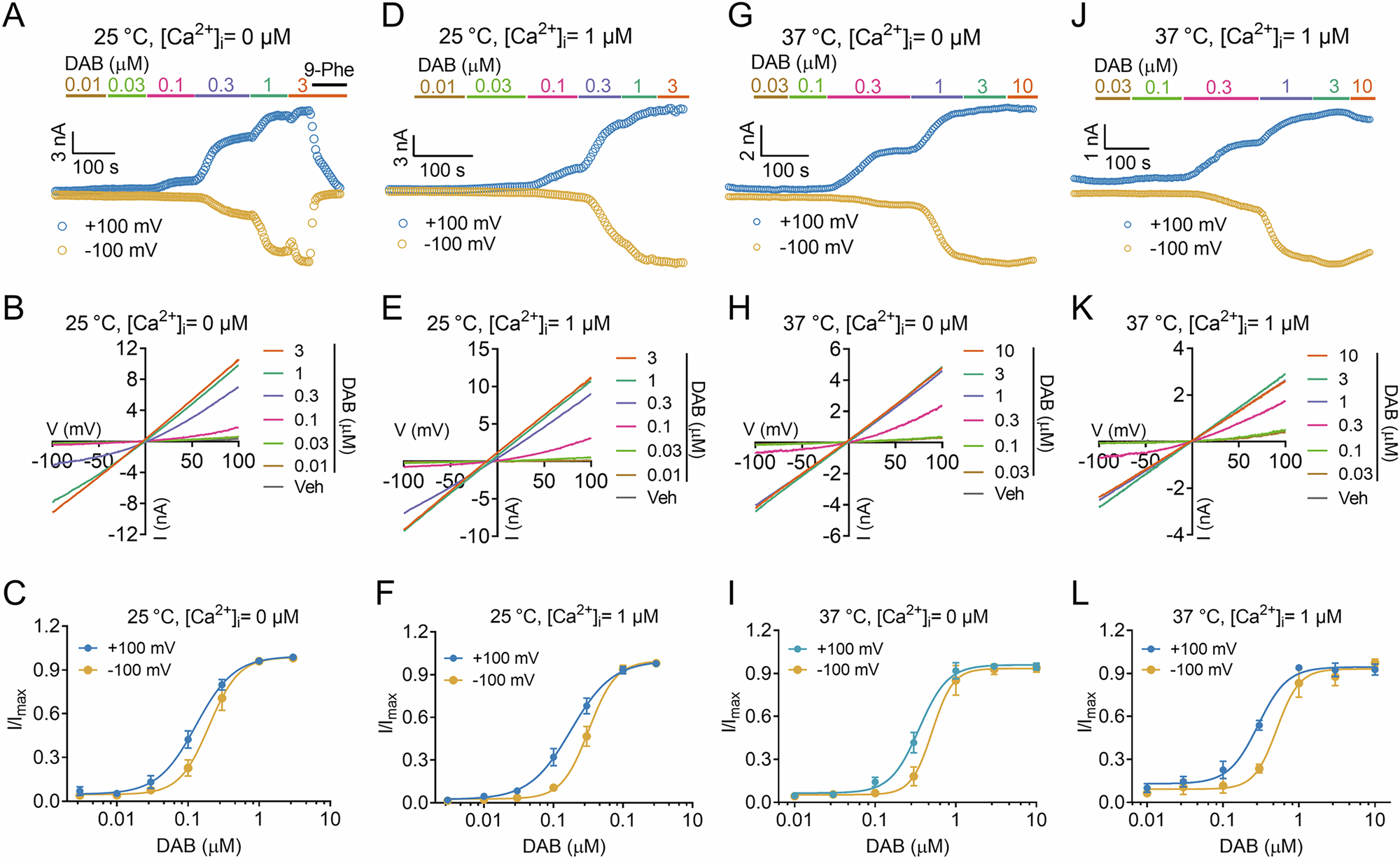 Fig. 2: DAB activates TRPM4 independence of Ca2+ and temperature.
