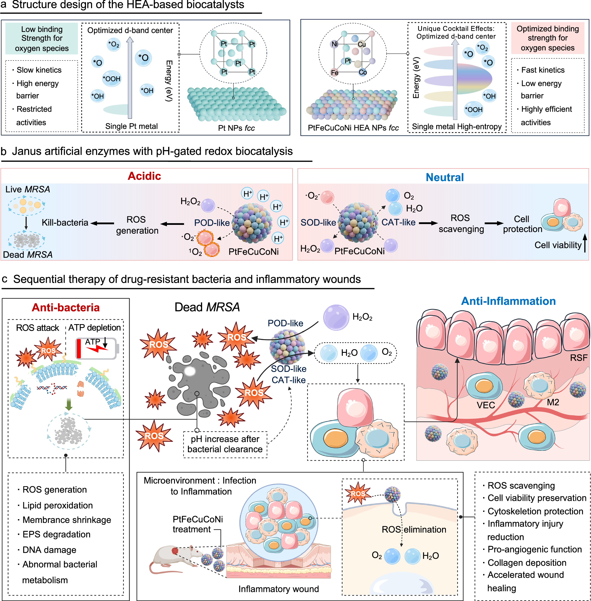 Fig. 1: Structure design and biocatalytic properties of HEA-based Janus artificial enzymes.