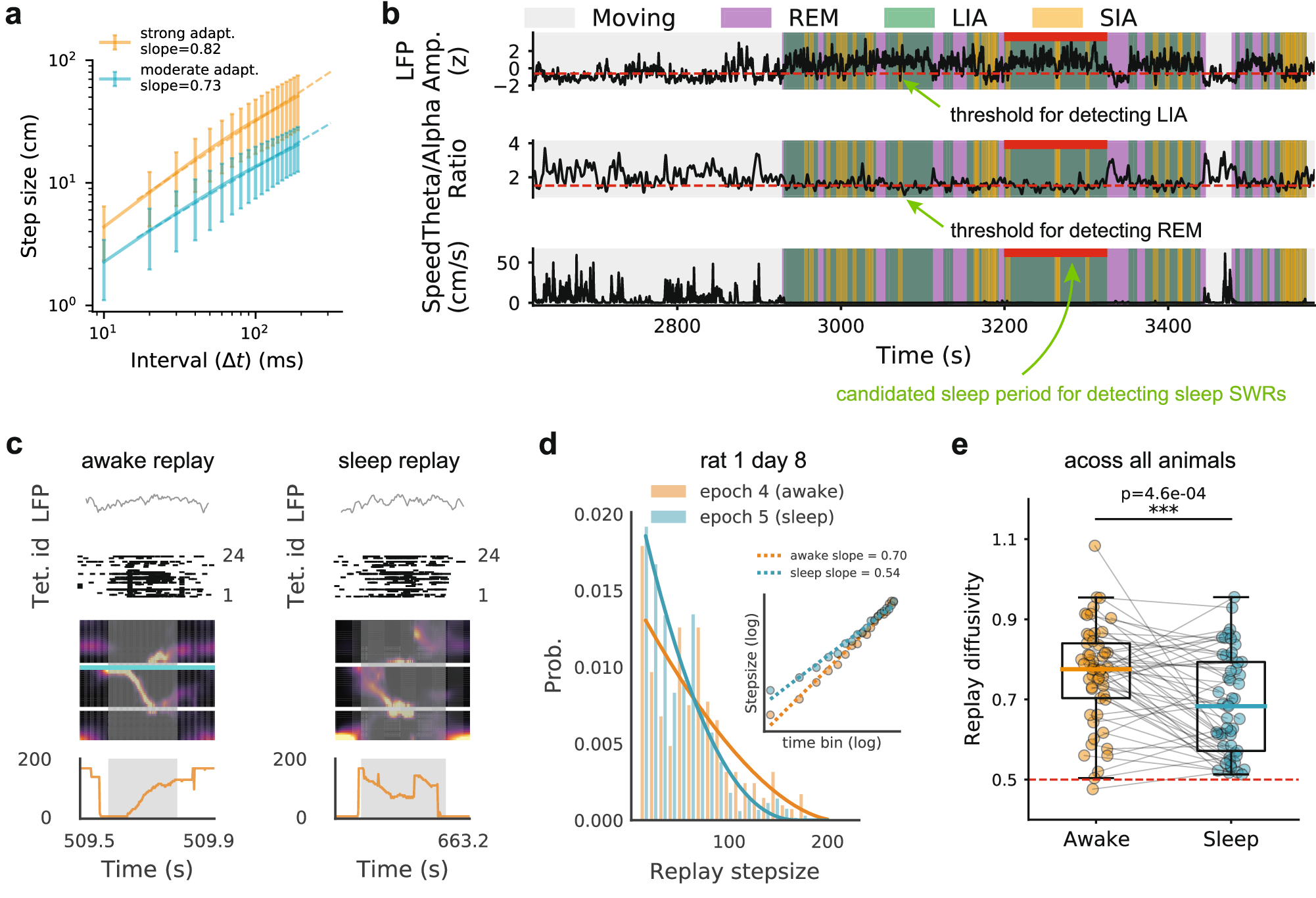 Fig. 6: Replay sequences exhibit greater diffusivity in the awake state compared to the subsequent sleep state.