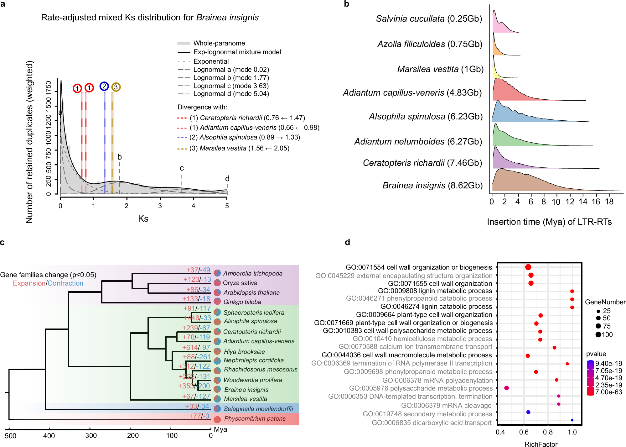 Fig. 2: Comparative genomics analyses.