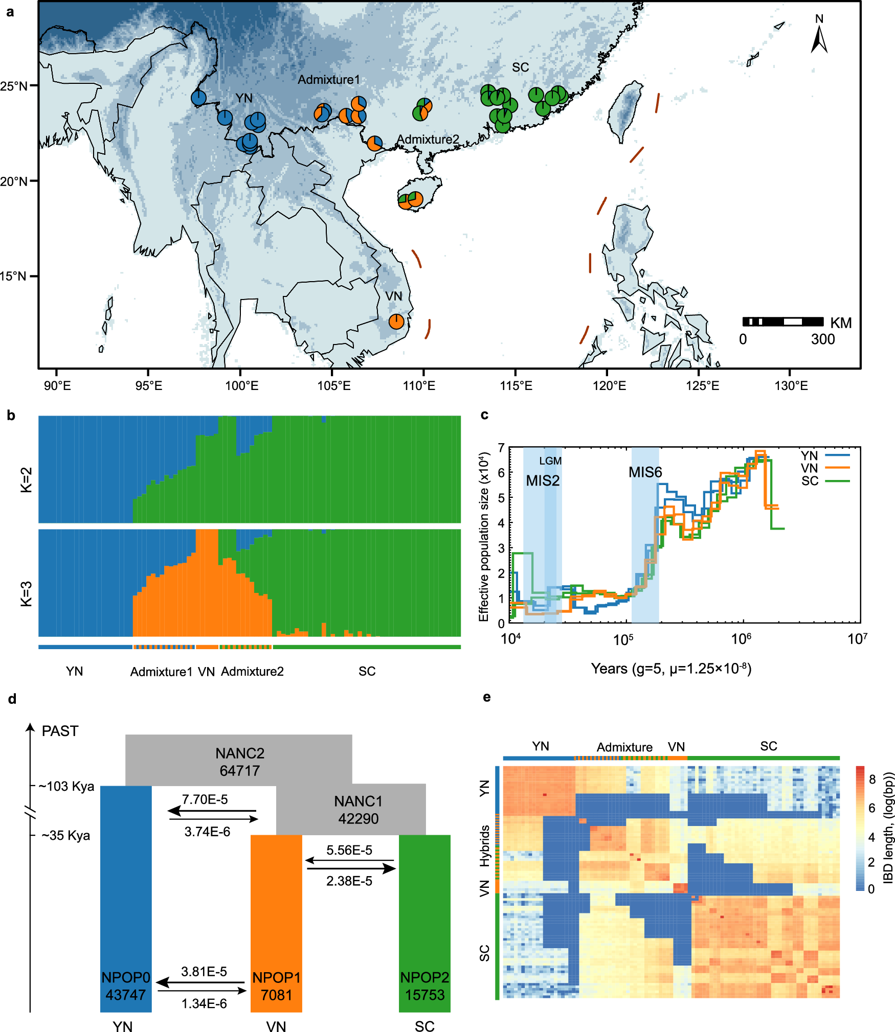 Fig. 3: Genetic structure and demographic history of B. insignis.