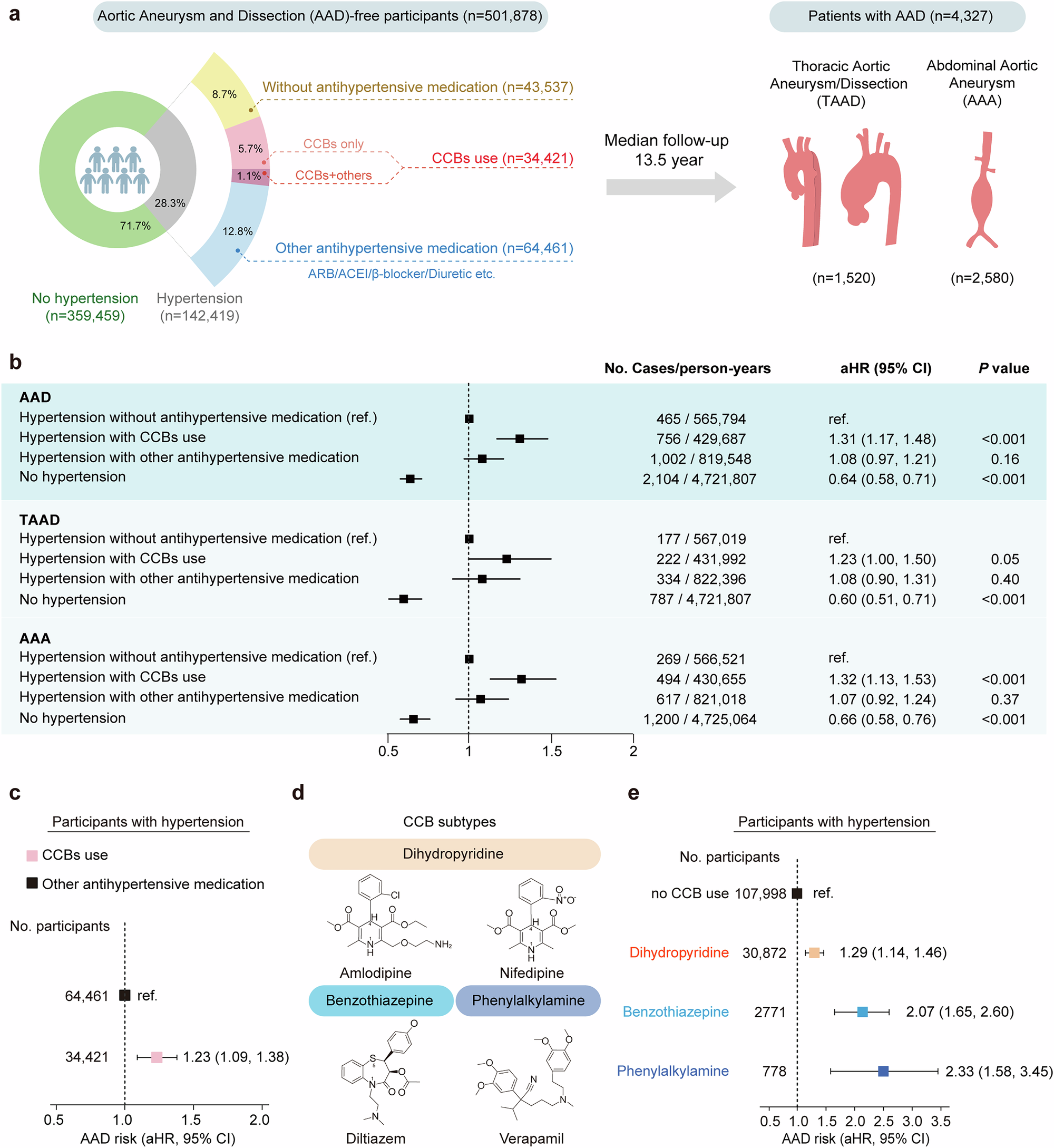 Fig. 1: CCBs use and AAD/AAD subtypes risks in the UKB.