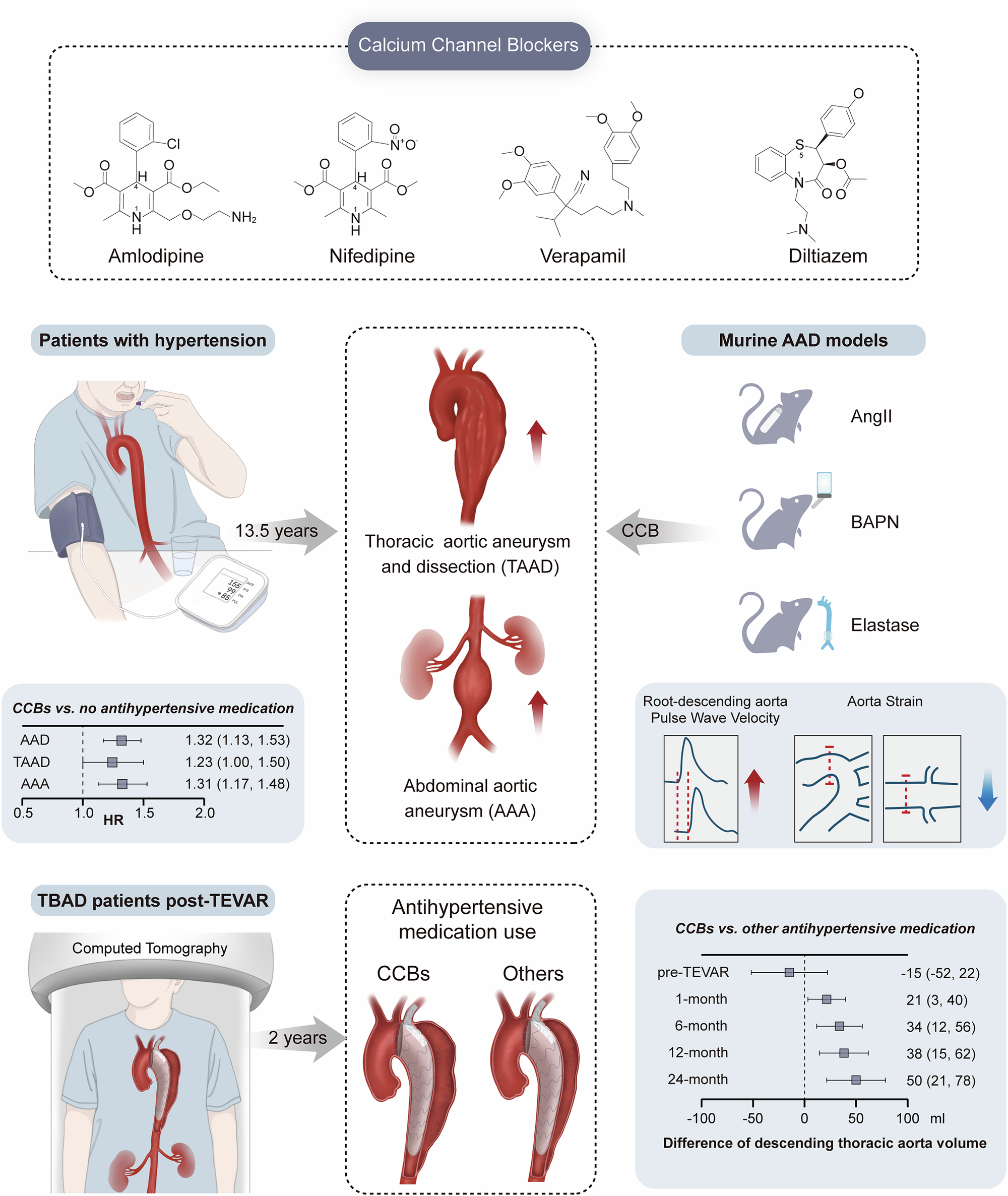 Fig. 8: Summary diagram.