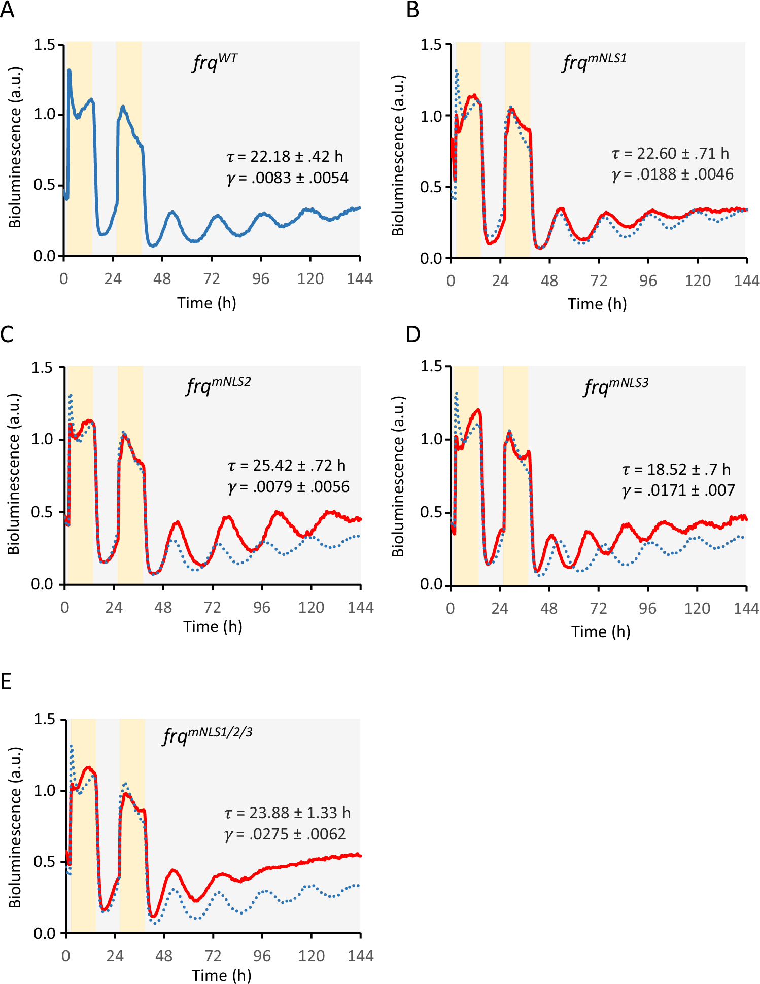 Fig. 2: Impact of FRQ’s NLSs on the circadian clock.
