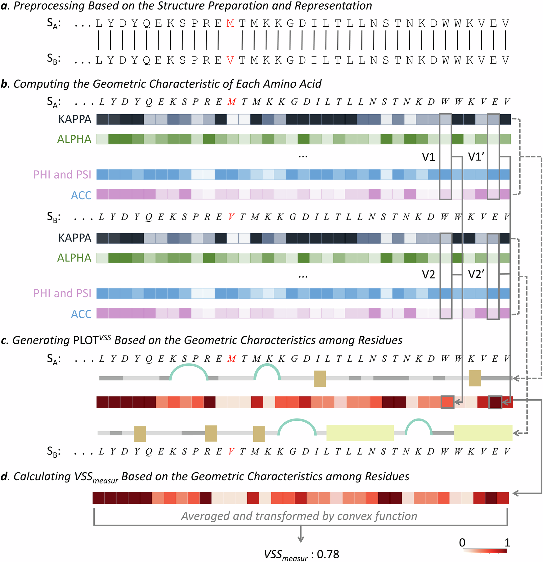 Fig. 1: The pipeline for measuring and locating secondary structure variations by calculating Geometric Characteristics among residues within compared protein pair.