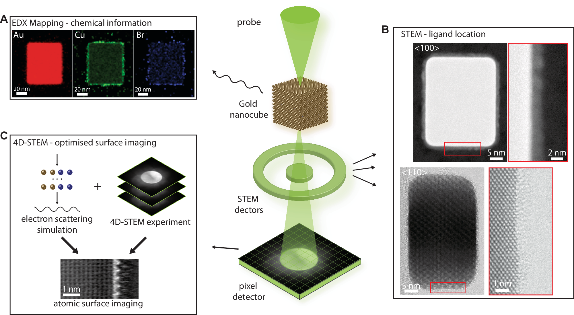 Fig. 1: Overview of STEM experiments in characterizing copper additives and CTAB surfactants on a gold nanocuboid surface.
