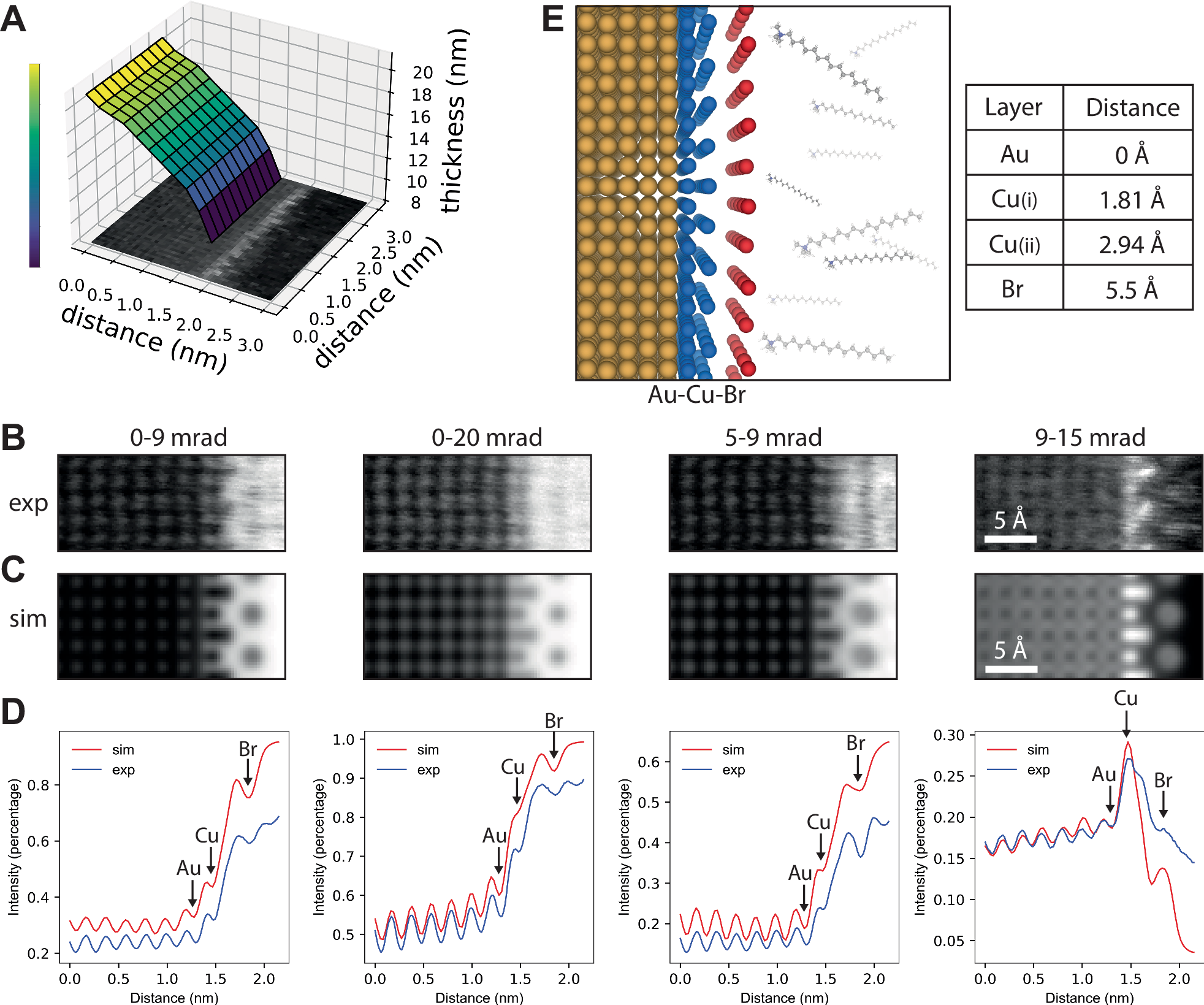 Fig. 4: Refinement of the gold nanocuboid surface model.