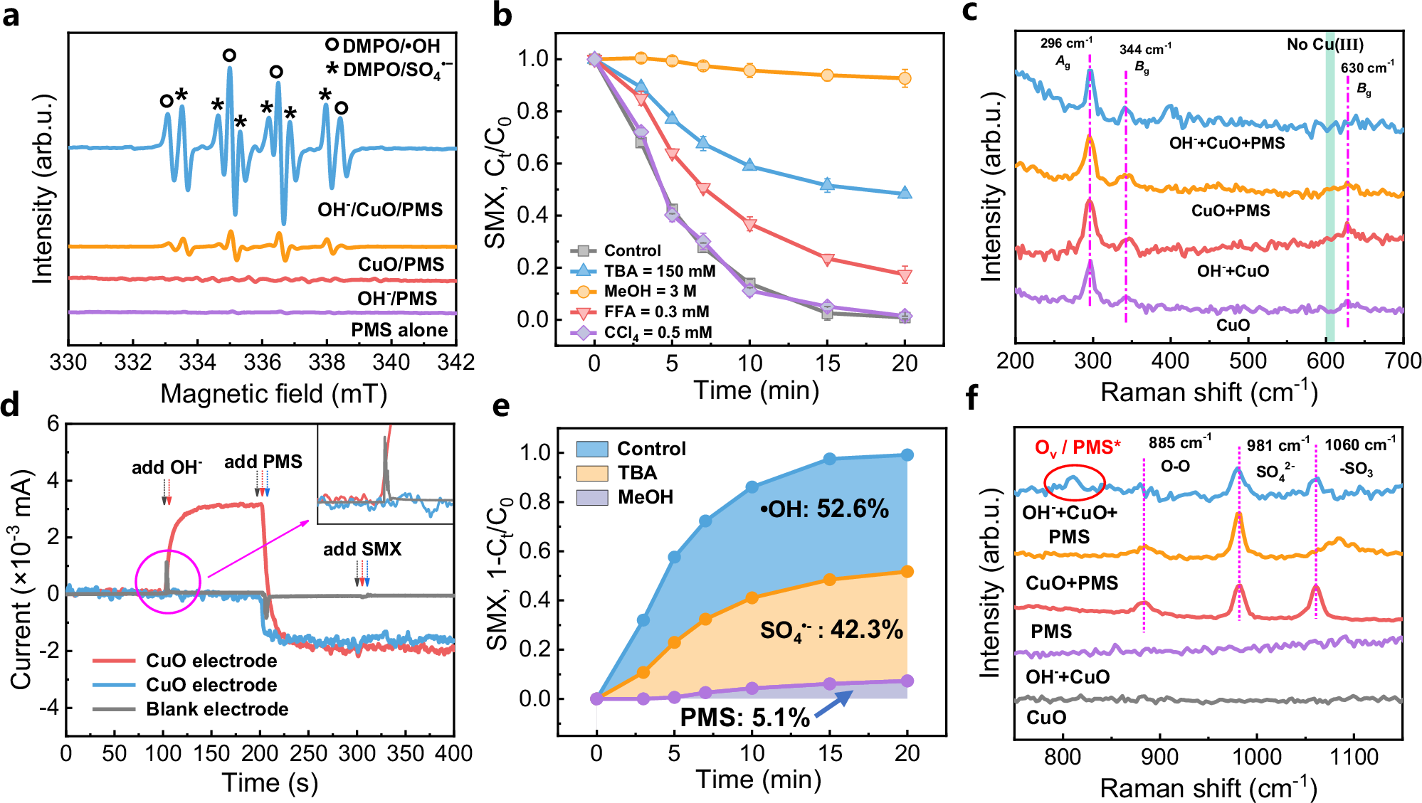Fig. 3: Mechanistic investigation of reactive oxygen species (ROSs) generation and PMS activation pathways.