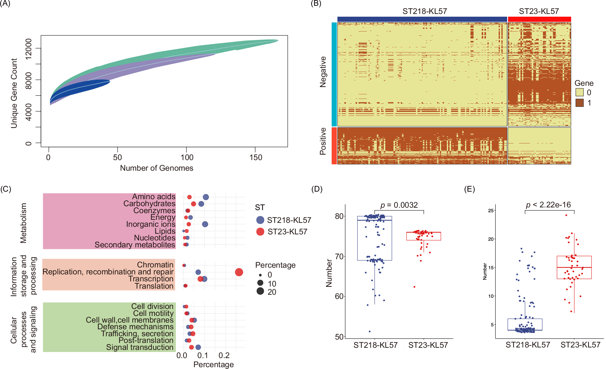 Fig. 3: Pan-genome profiling, comparative genomic analysis, and functional enrichment analysis.