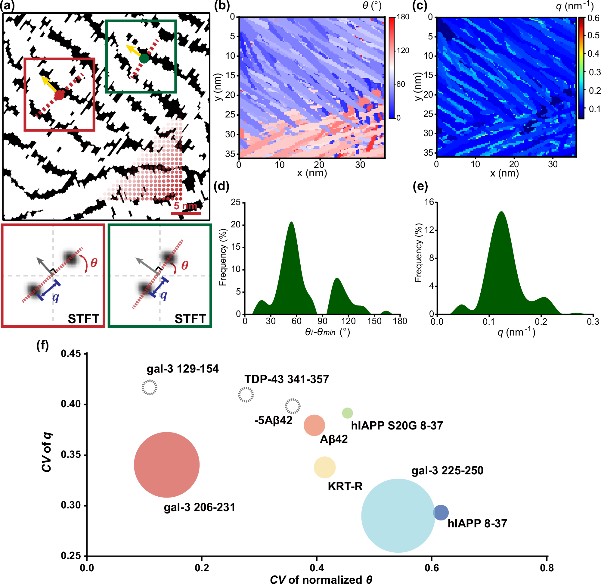 Fig. 4: STFT determines the directionality of β-sheet alignment and the reciprocal of the periodicity of β-sheets.