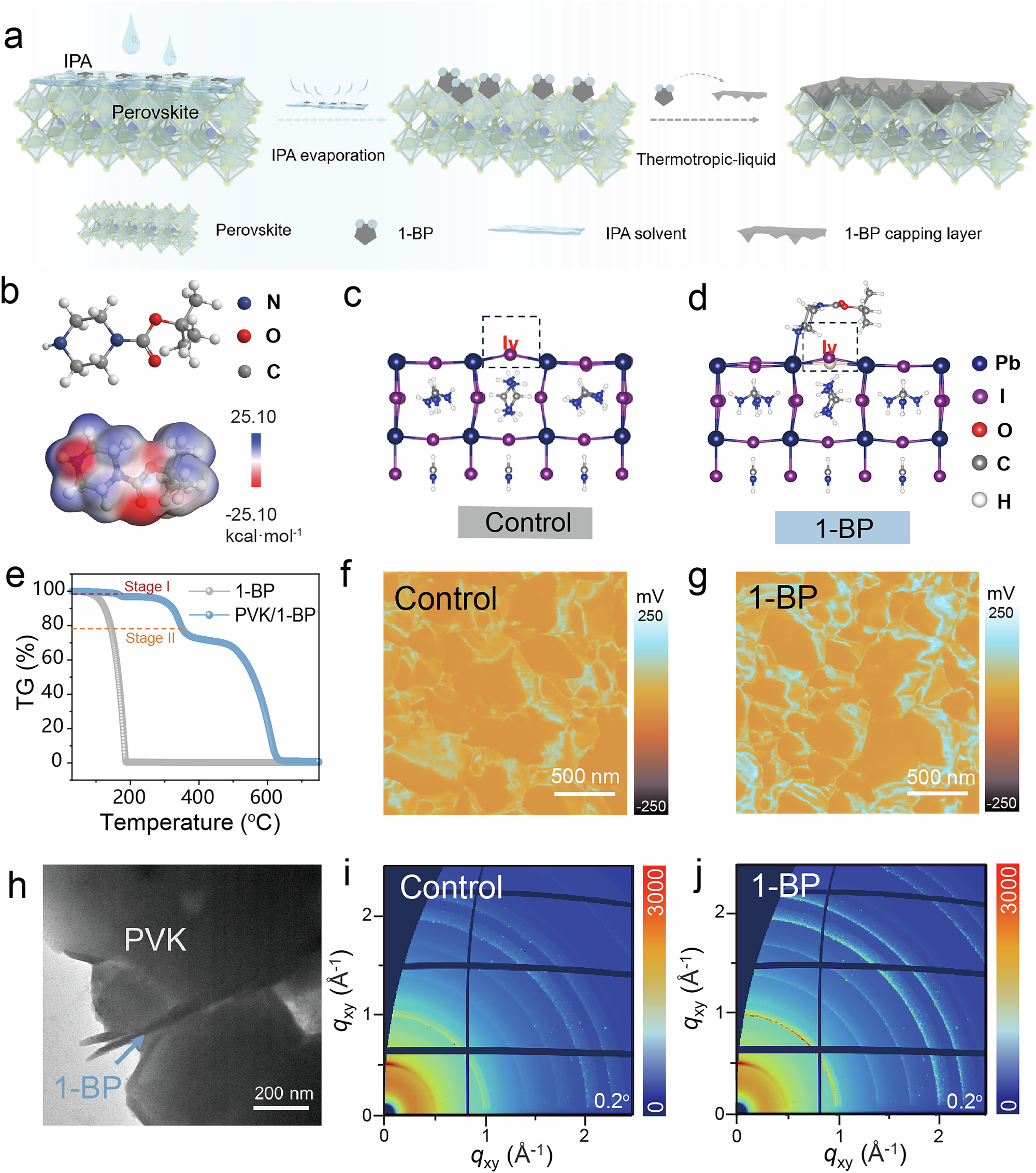Fig. 1: Thermotropic properties of 1-BP and their influence on perovskite films management.