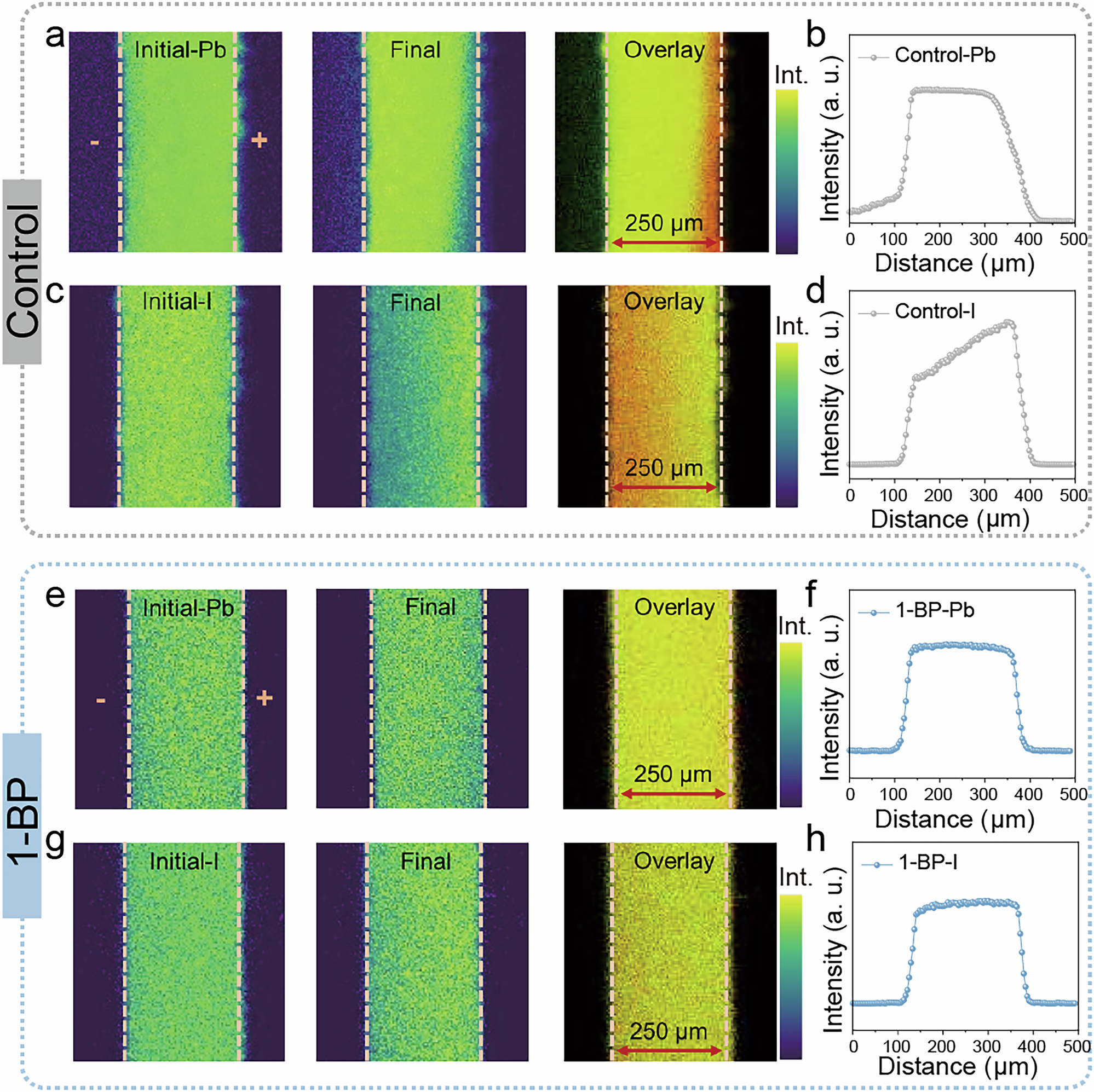 Fig. 2: The in-situ ToF-SIMS investigation of ion migration in perovskites under applied electric field.
