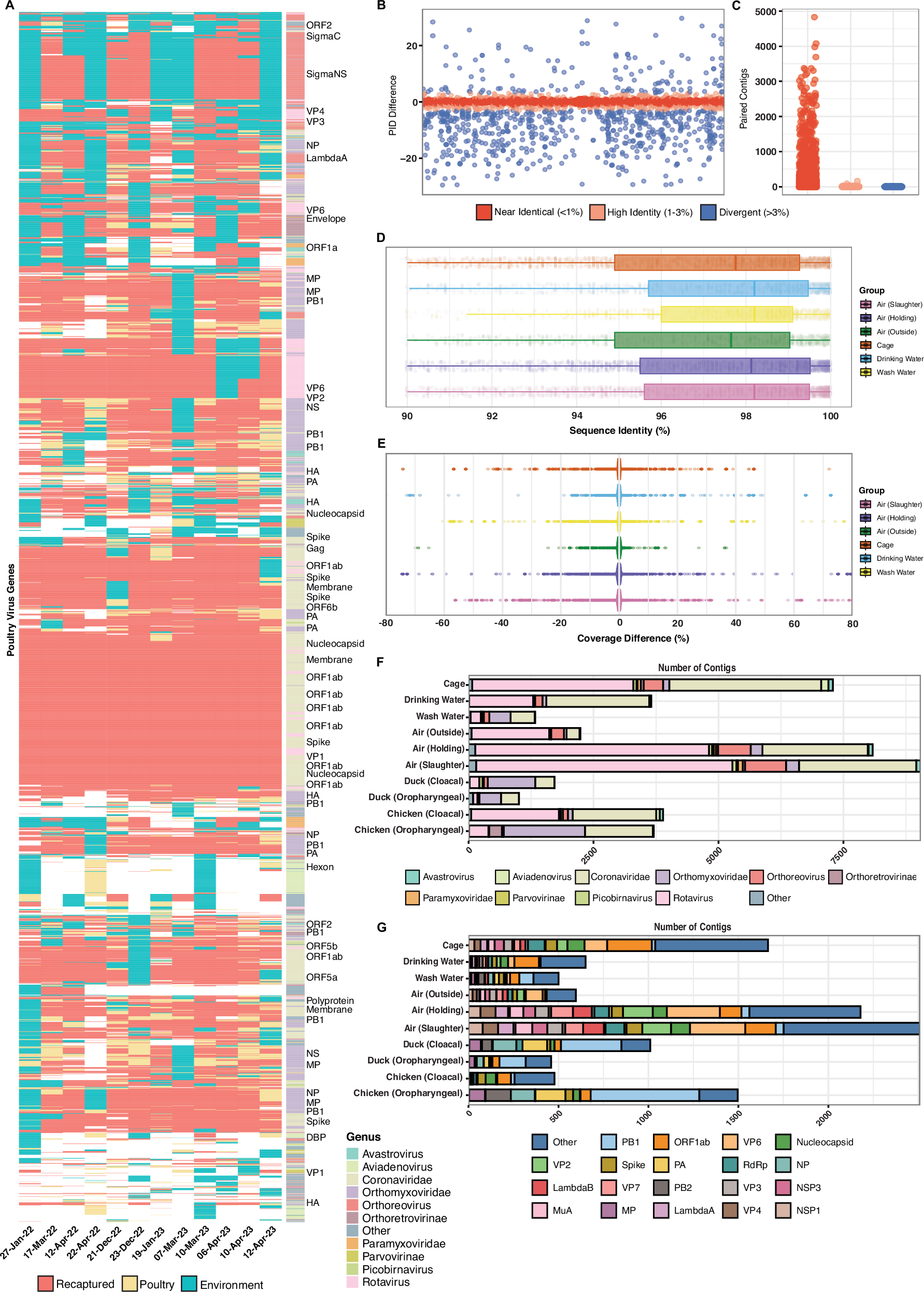 Fig. 3: Environmental contigs cover the majority of virus genes in poultry with a high sequence similarity.
