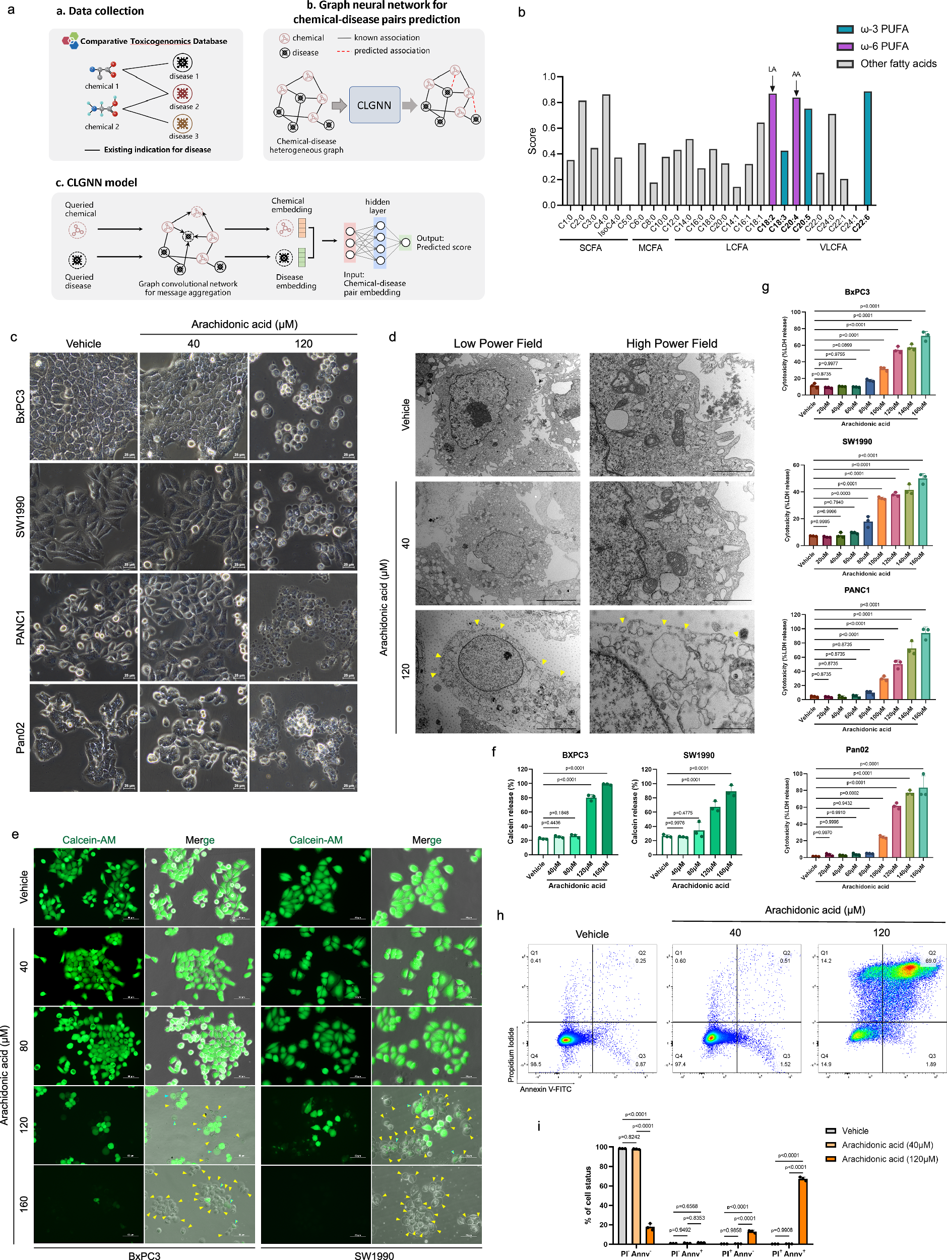 Fig. 1: CLGNN predicts therapeutic effect of PUFA and high concentration of arachidonic acid triggers pyroptosis of PDAC.