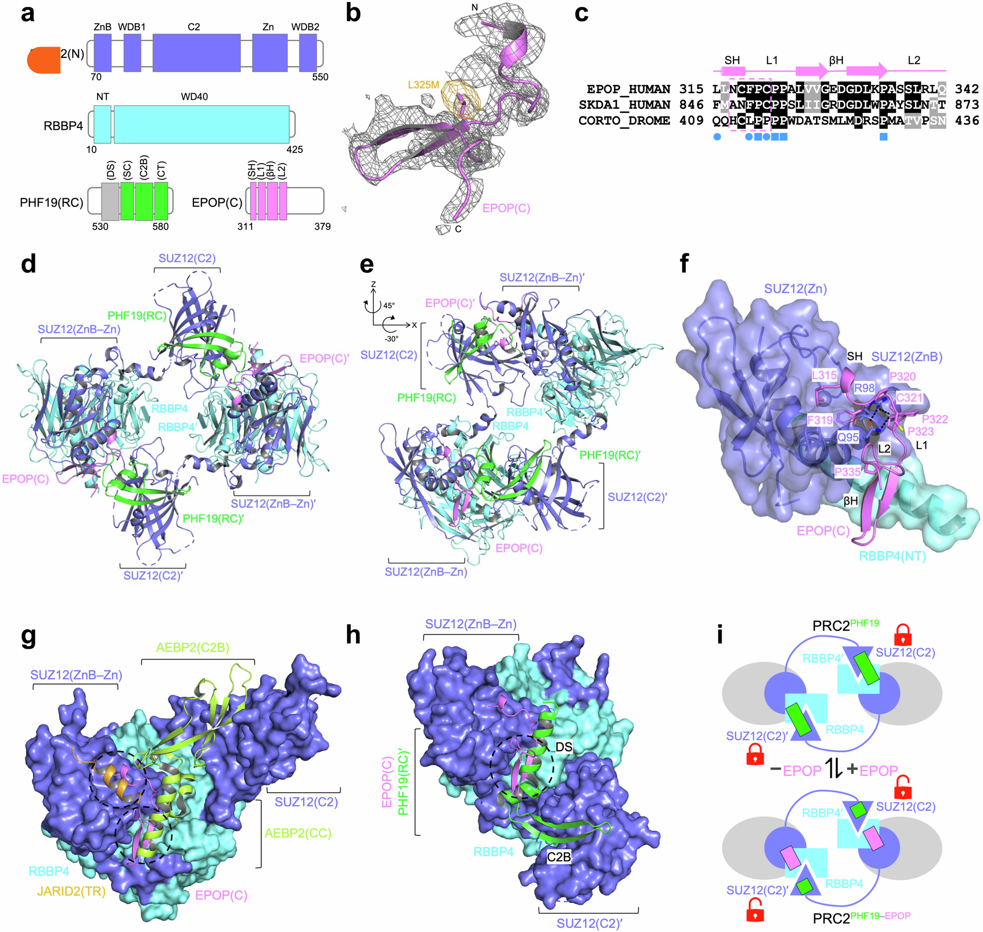 Fig. 2: Crystal structure of an EPOP-bound PRC2.1 subcomplex.
