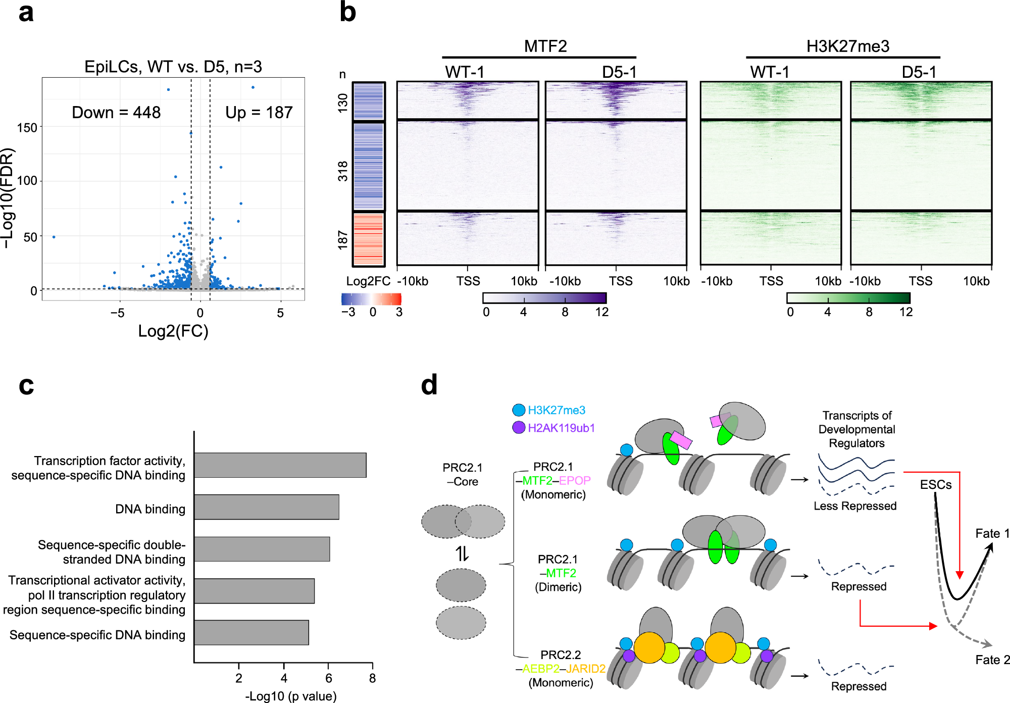 Fig. 7: Developmental gene regulation by EPOP through PRC2.1.