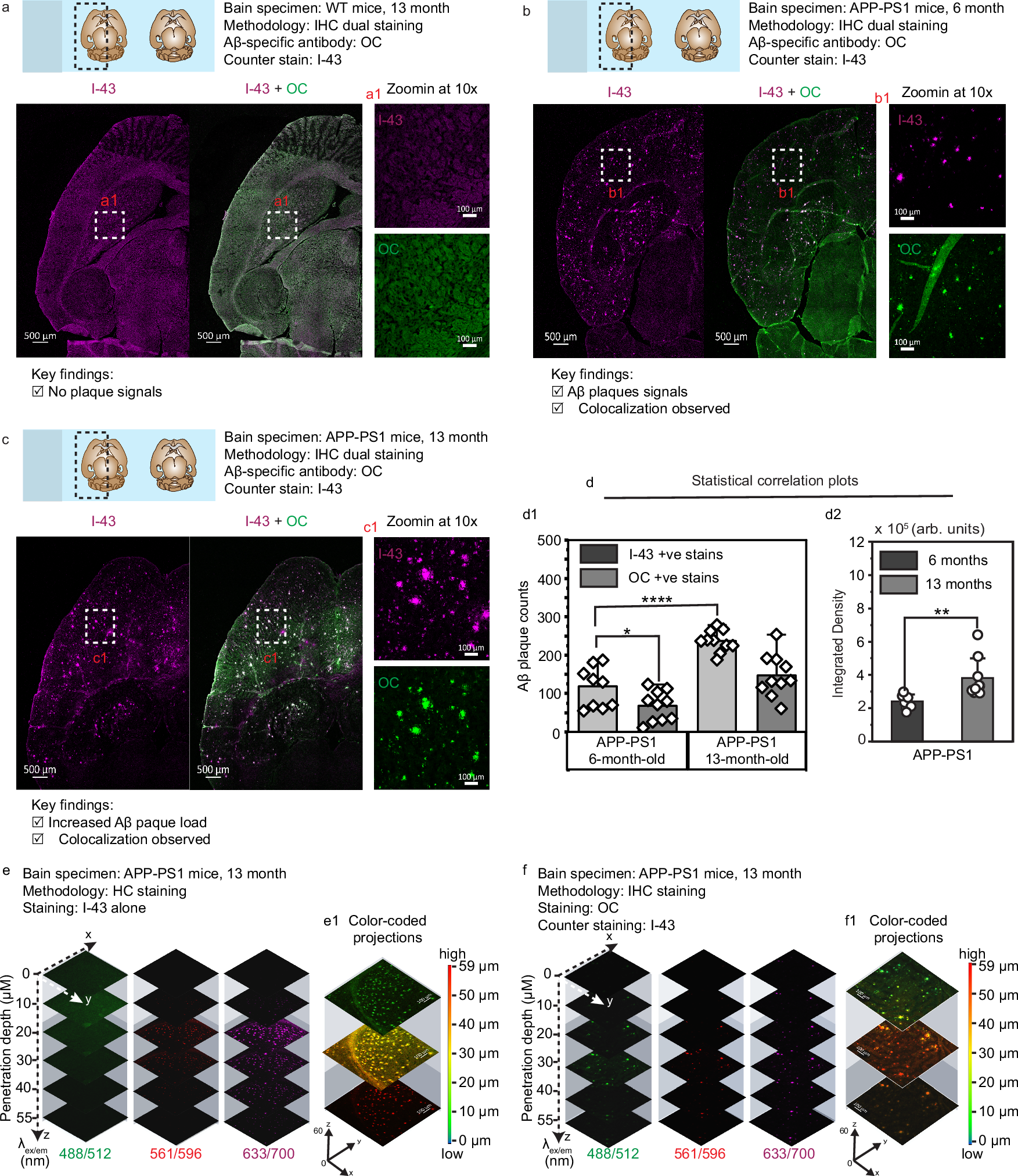 Fig. 5: Immunohistochemistry staining and quantitative analysis of amyloid plaque burden in APP-PS1 mice vs WT.