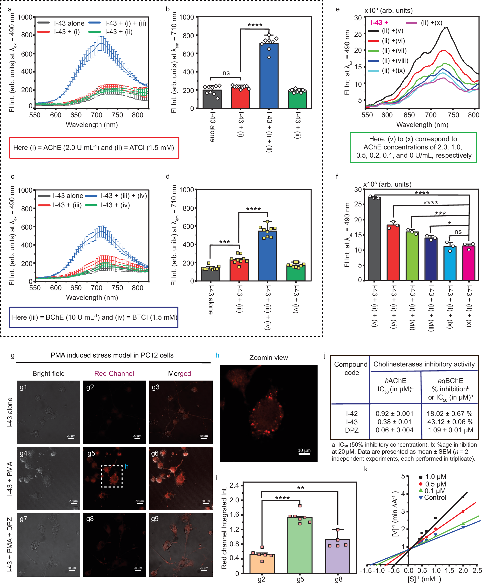 Fig. 8: In vitro and cell-based fluorescence assays showing the affinity of I-43 for cholinesterases (ChEs).