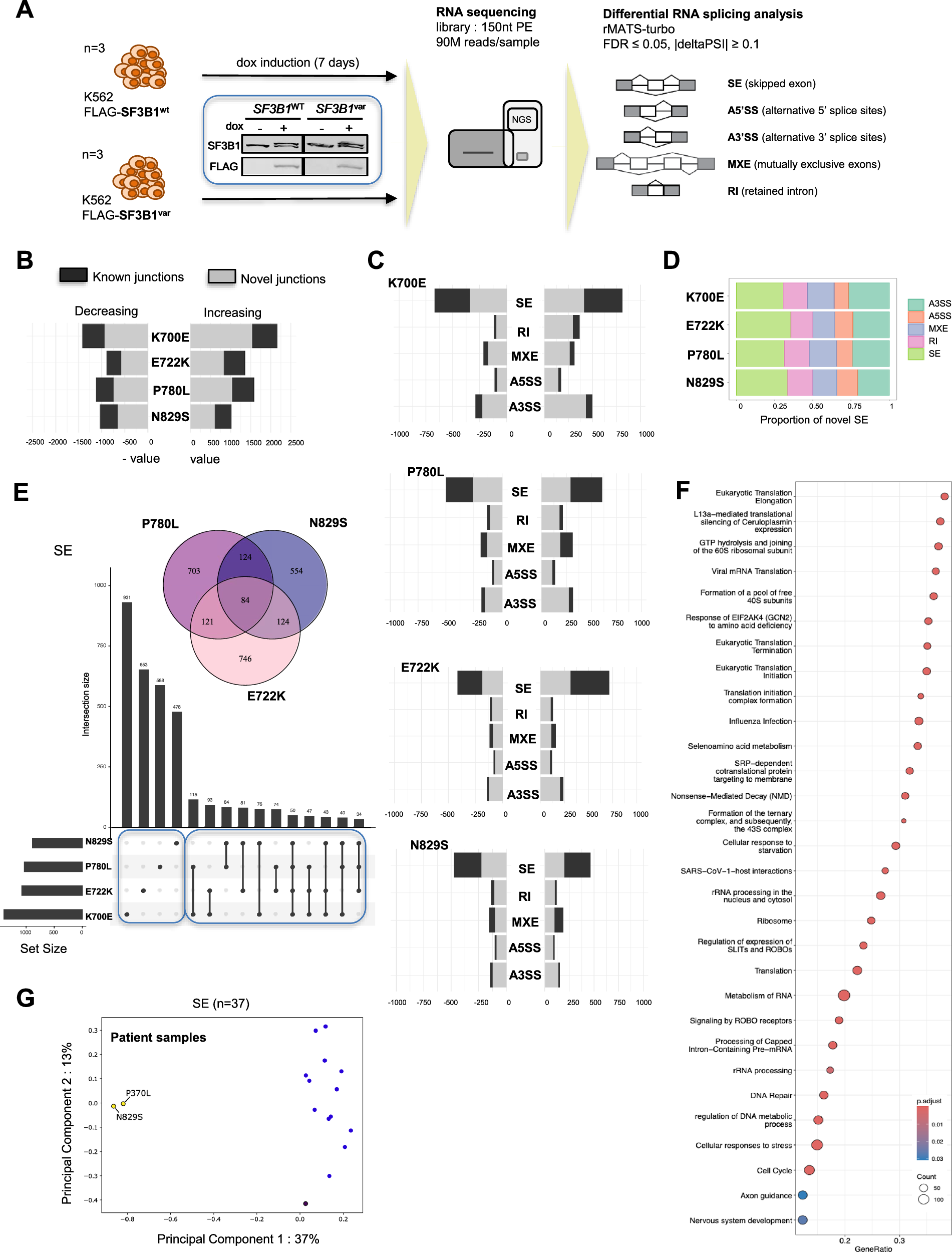 Fig. 4: De novo SF3B1 variants E722K, P780L and N829S alter RNA splicing.