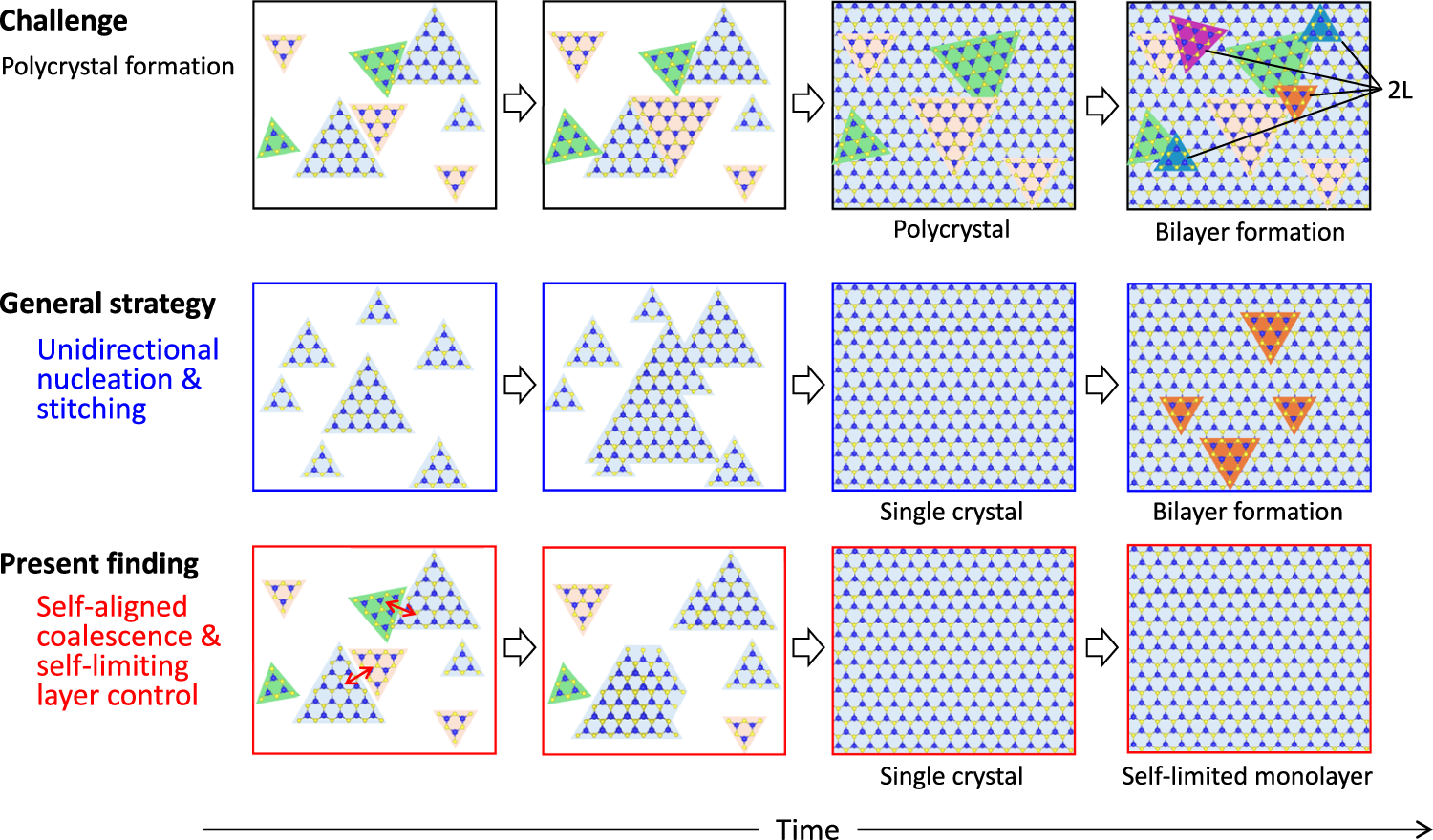 Self-aligned and self-limiting van der Waals epitaxy of monolayer 