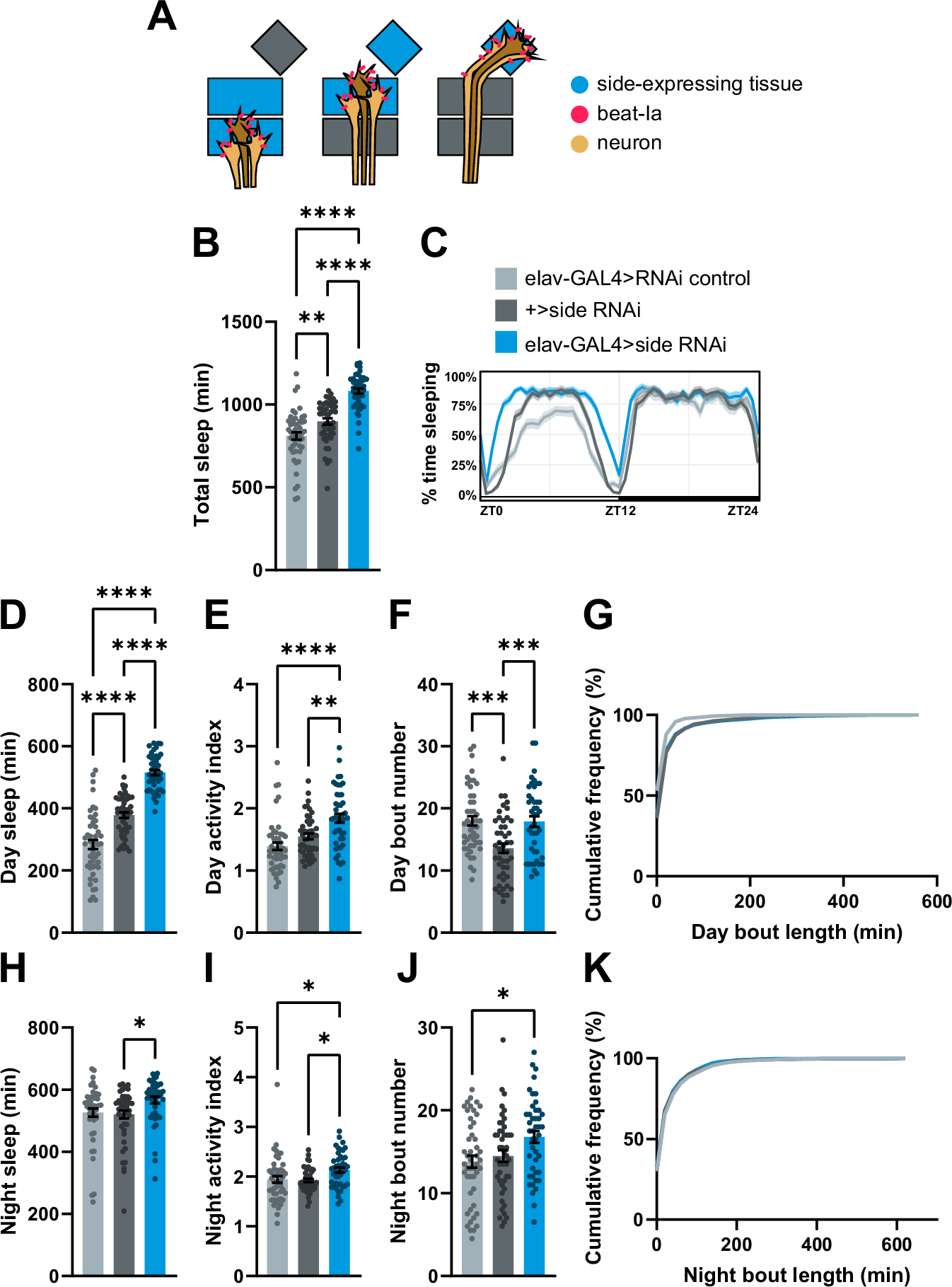 Fig. 3: Pan-neuronal knockdown of beat-Ia’s receptor, side, produces a long sleep phenotype.