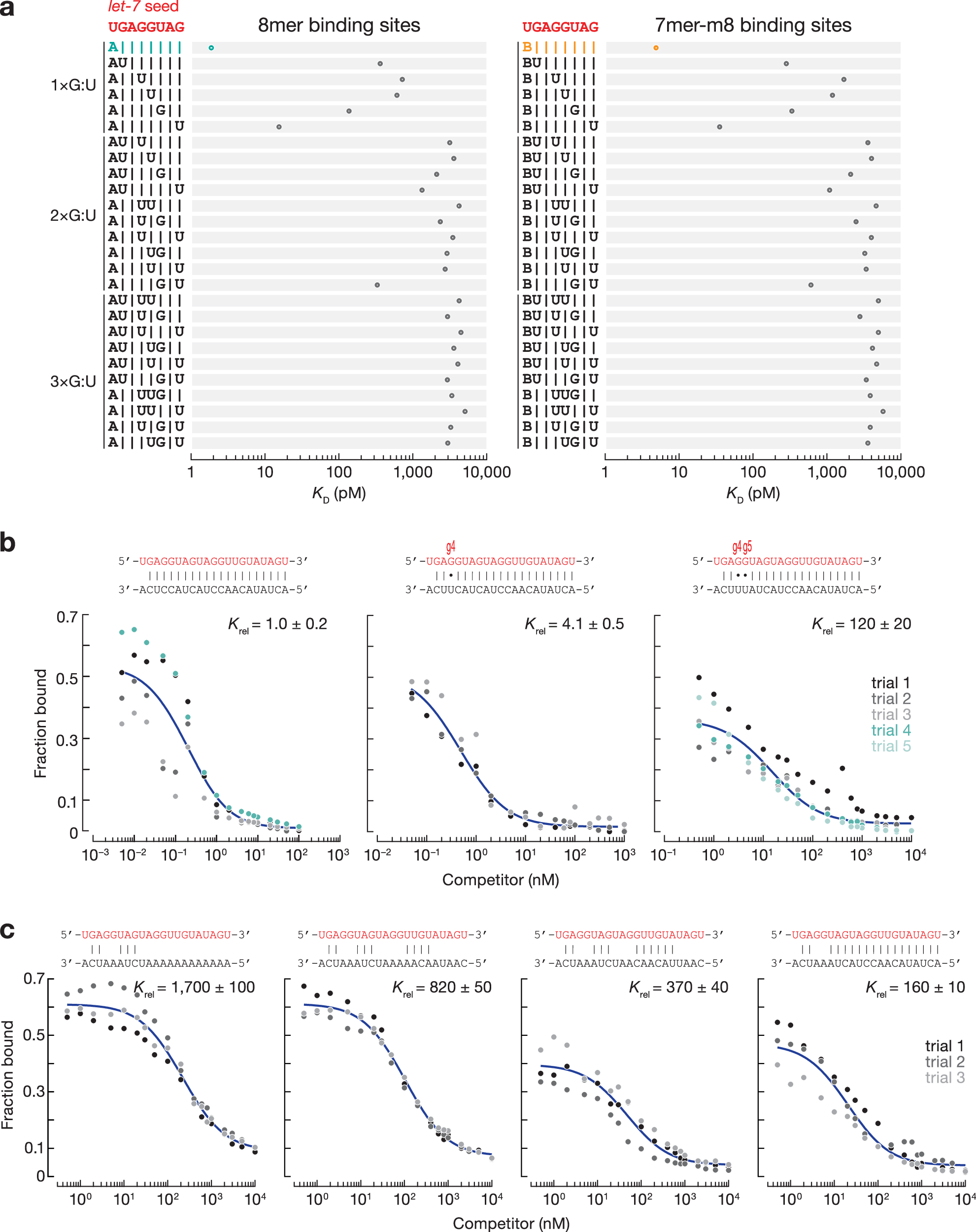 Fig. 2: The effect of G:U pairs within the seed on miRNA binding affinity.
