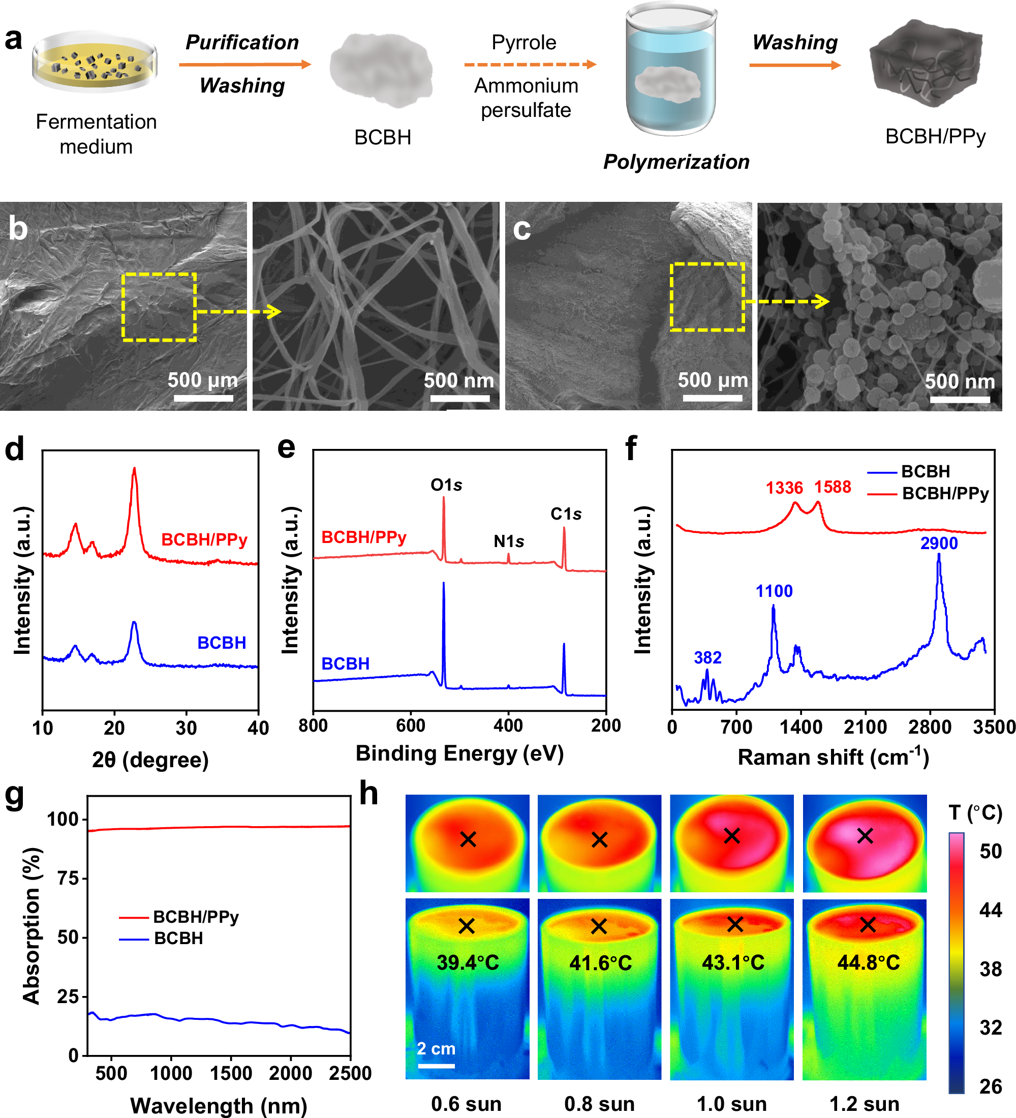Fig. 2: Fabrication and characteristics of BCBH and BCBH/PPy.