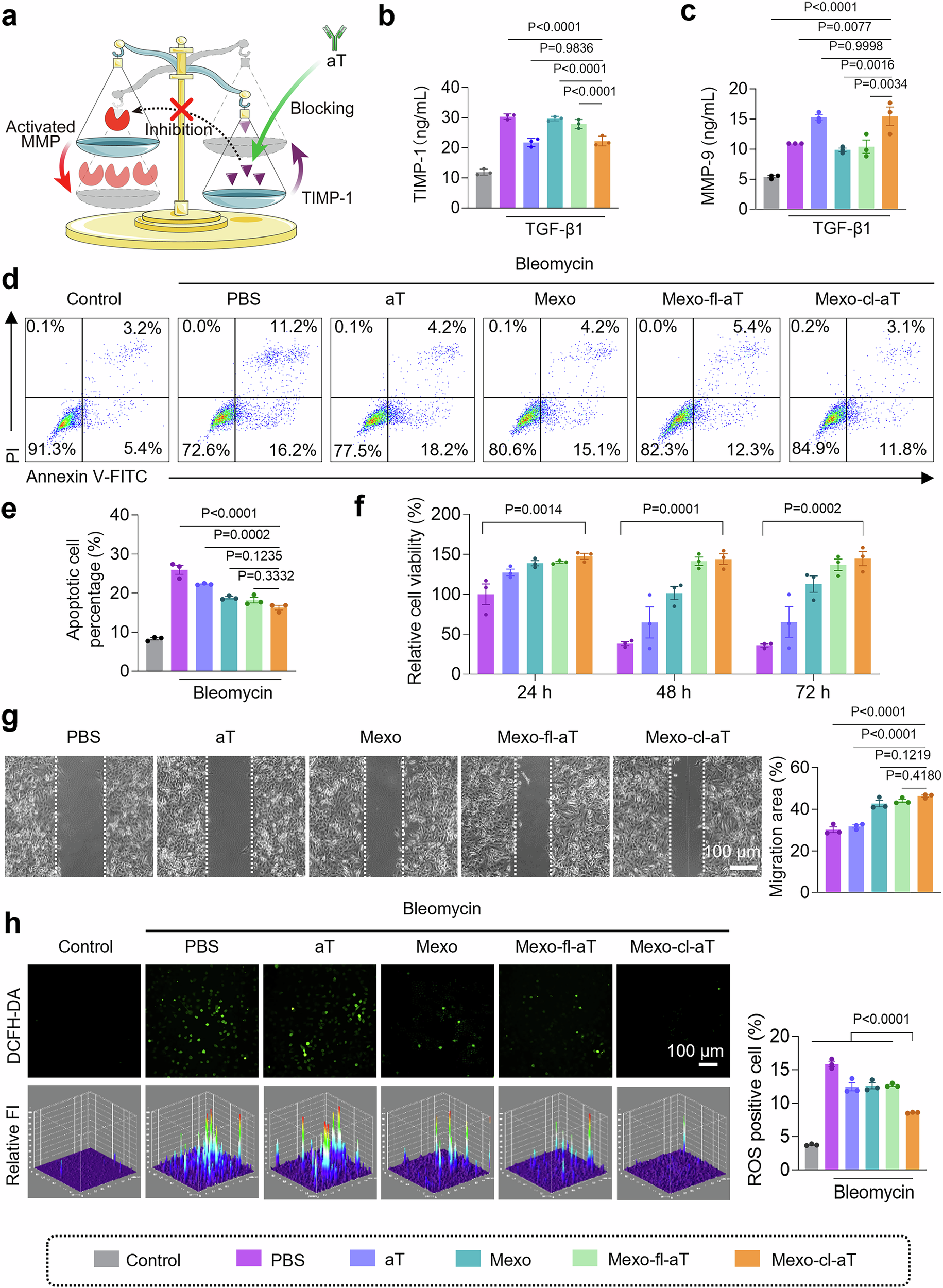 Fig. 5: The abilities of Mexo-cl-aT in MMP activation, ROS scavenging, alveolar epithelial repair in vitro.