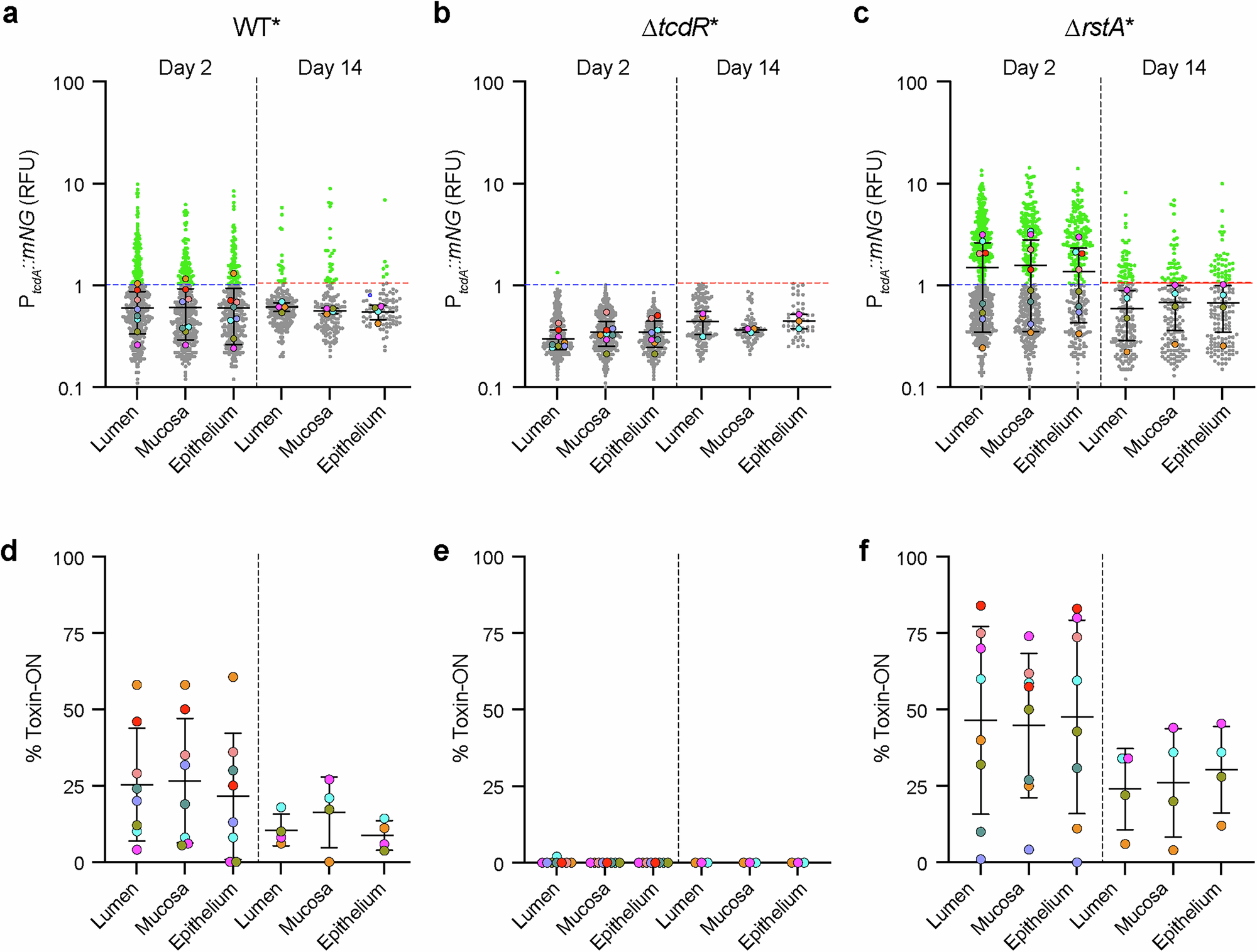 Fig. 7: Spatial distribution of toxin gene expression during murine infection.