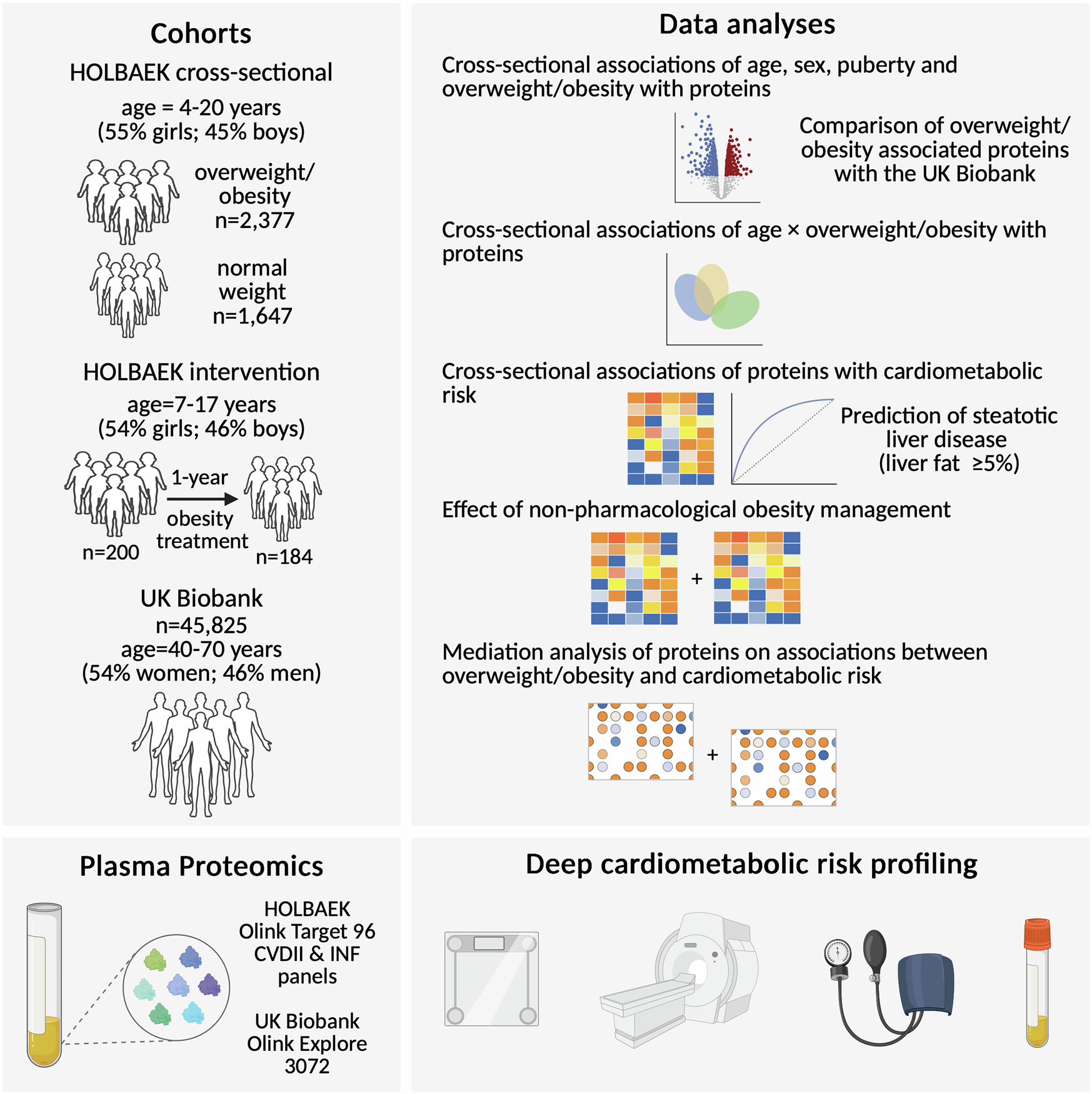 Fig. 1: Study design.