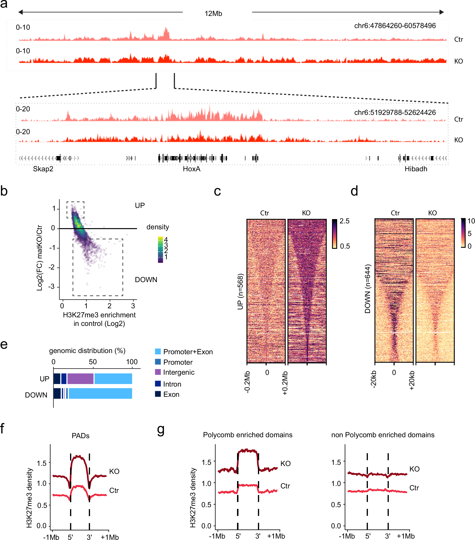 Fig. 1: H3K27me3 chromatin landscape alteration in oocyte upon loss of Ezhip.