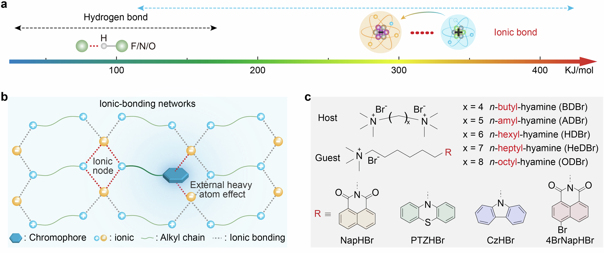 Fig. 1: Rational design of ionic-bonding network-induced organic room-temperature phosphorescence materials.