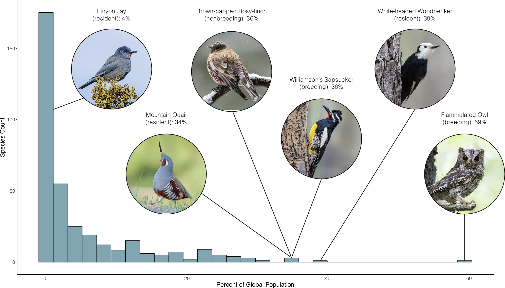 Fig. 6: Histogram of the number of species at different levels of population exposure to high severity fire.