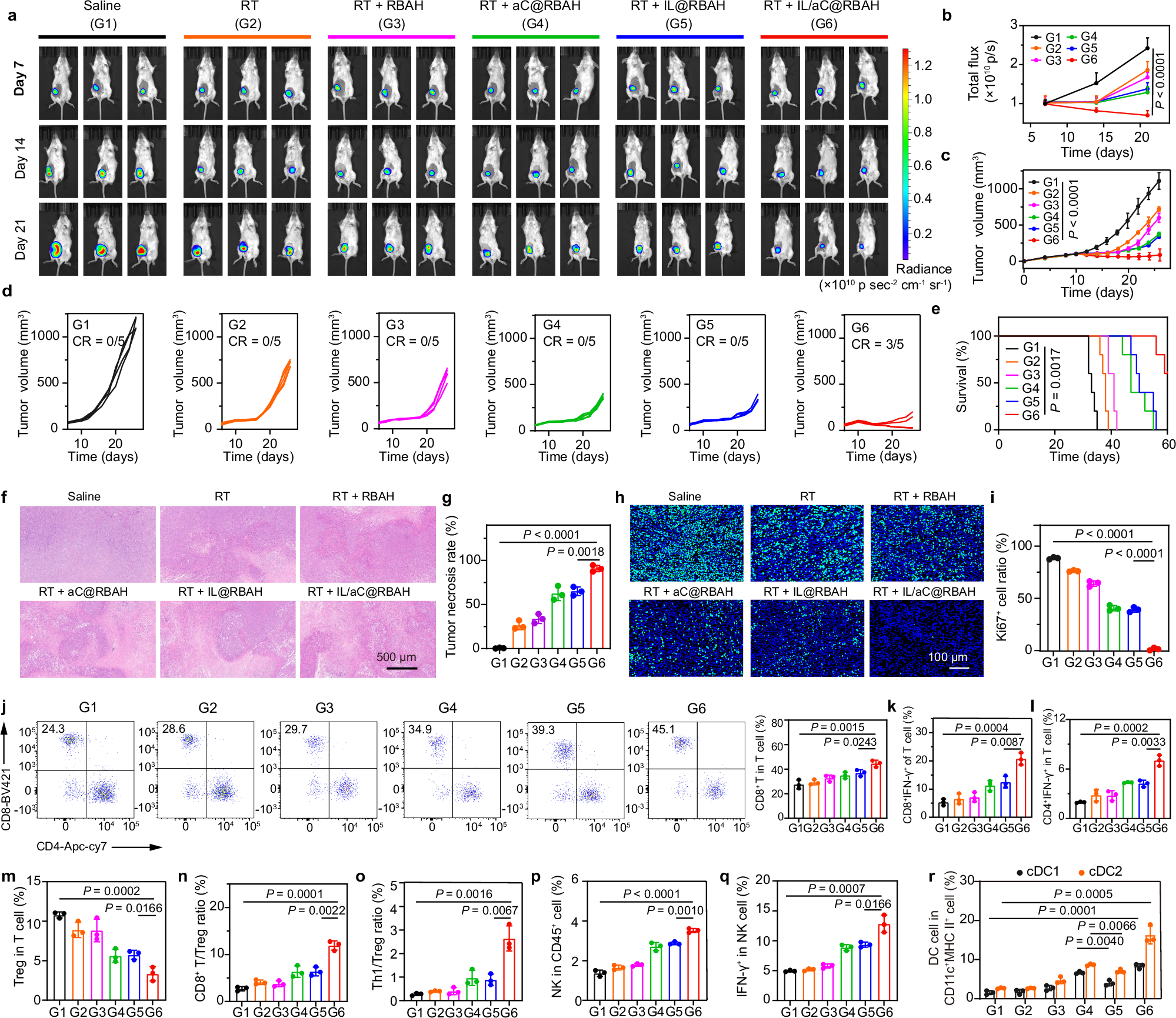 Fig. 5: RT + IL/aC@RBAH elicits robust antitumor efficacy in orthotopic 4T1 breast tumors.