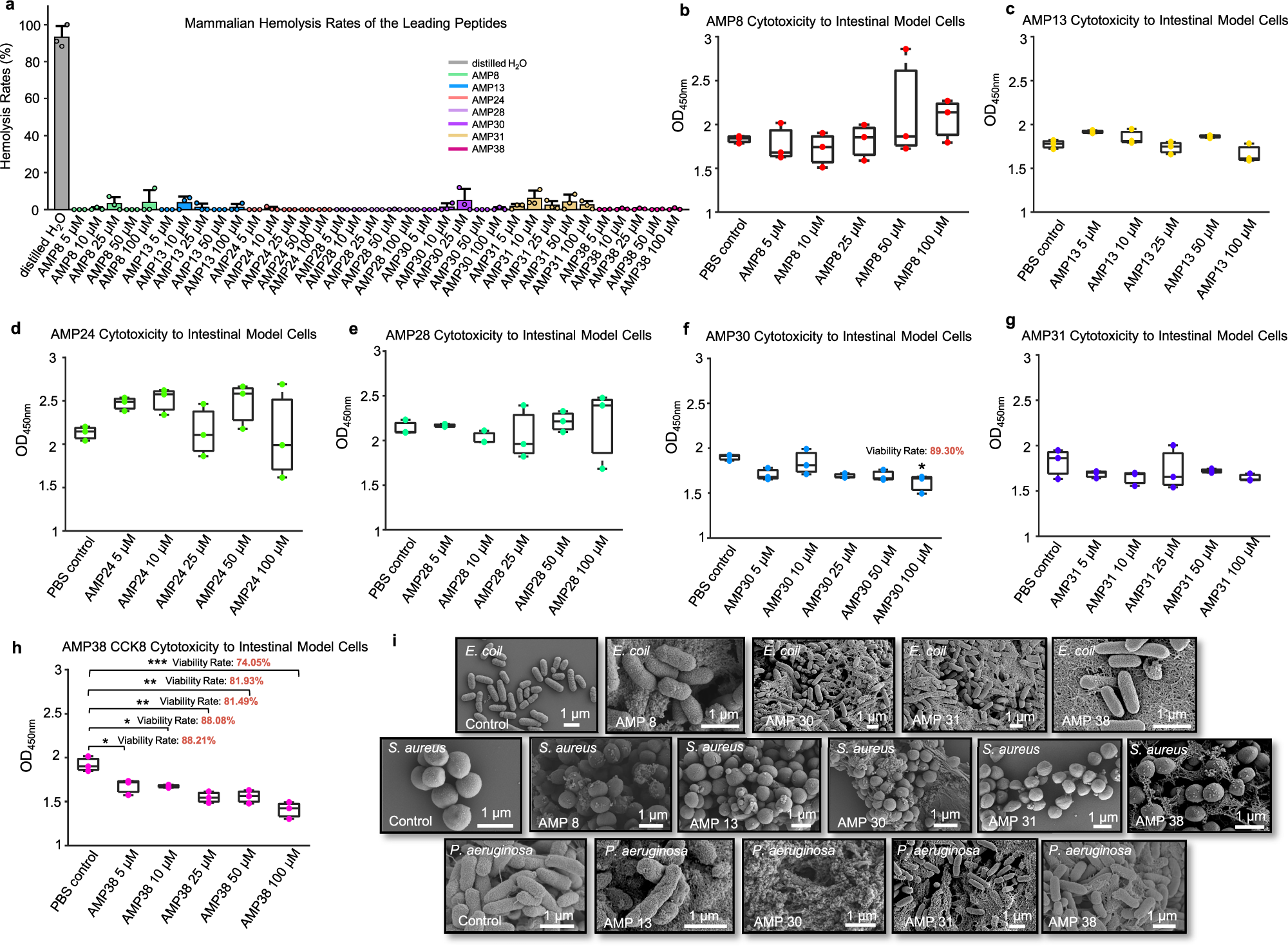 Fig. 3: The bio-safety and mechanistic assessment of the selected leading AMPs.
