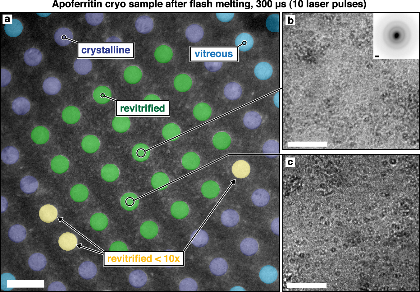 Fig. 2: Micrograph of sealed sample after laser irradiation.